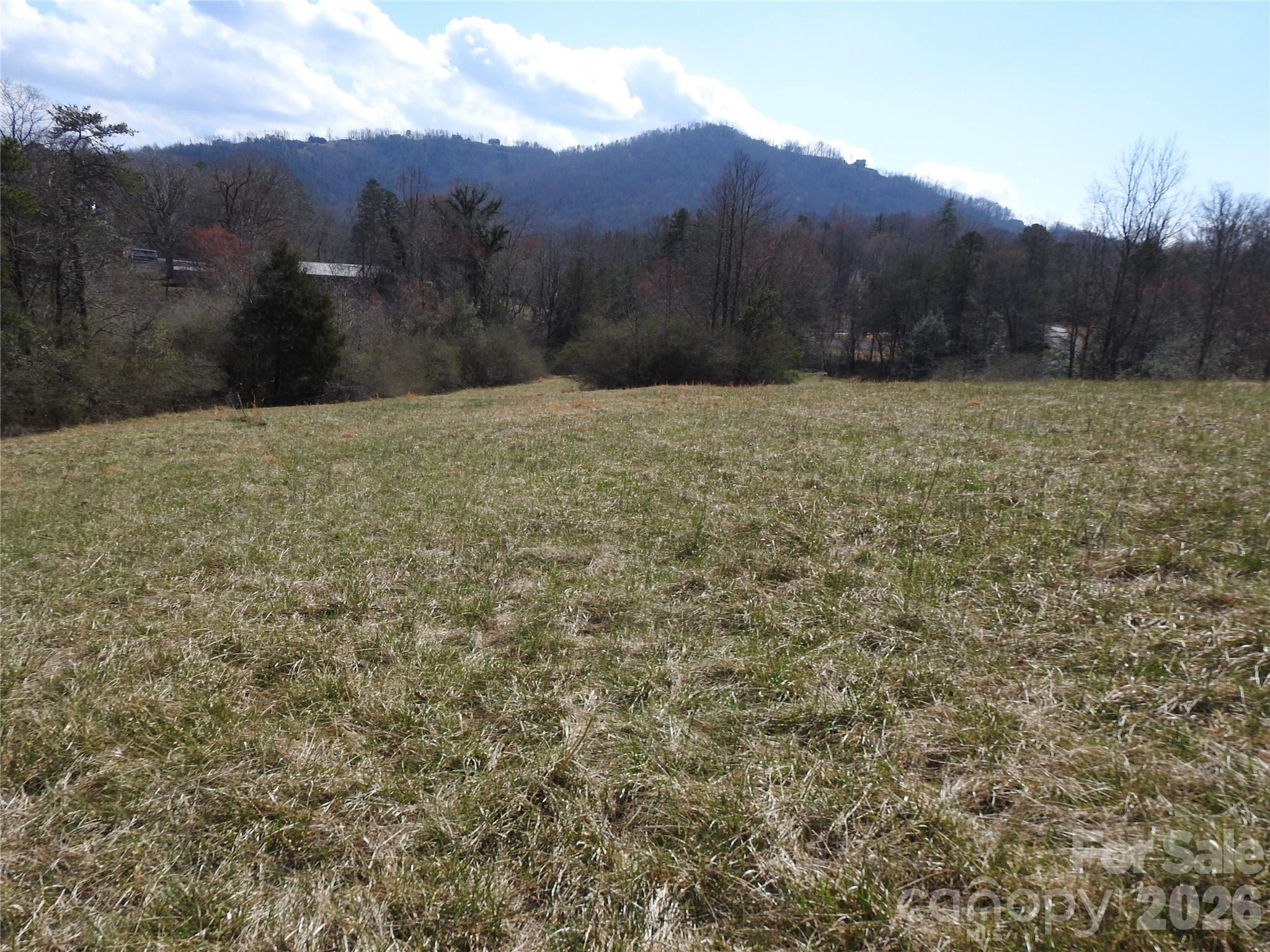 00 Laurel Lakes Parkway Lot 1 Property Photo 1