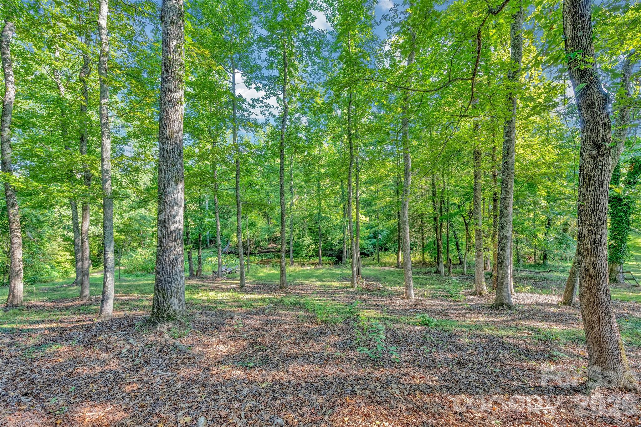 2440 Mount Lebanon Road Property Photo 38