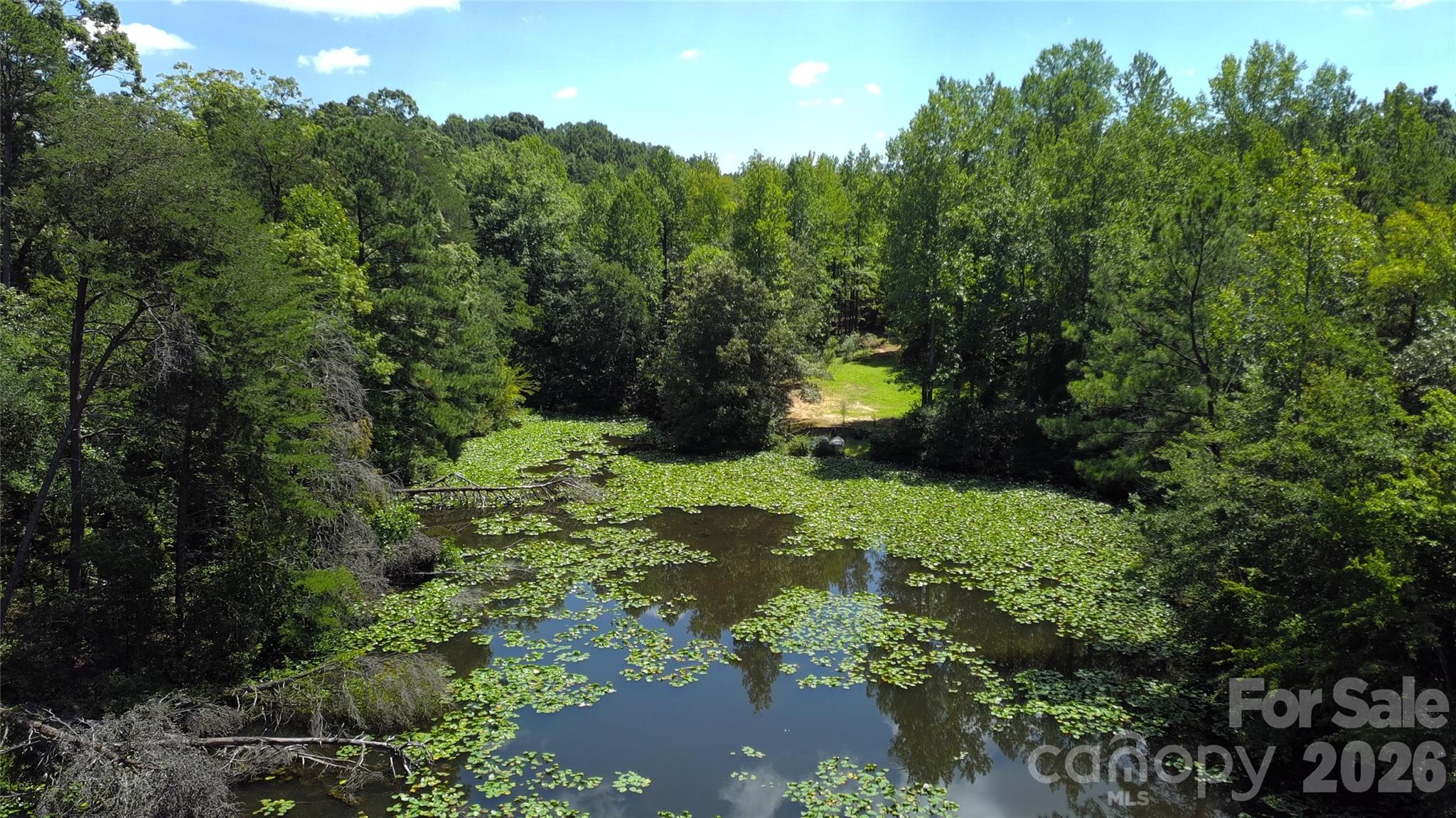 2440 Mount Lebanon Road Property Photo 43