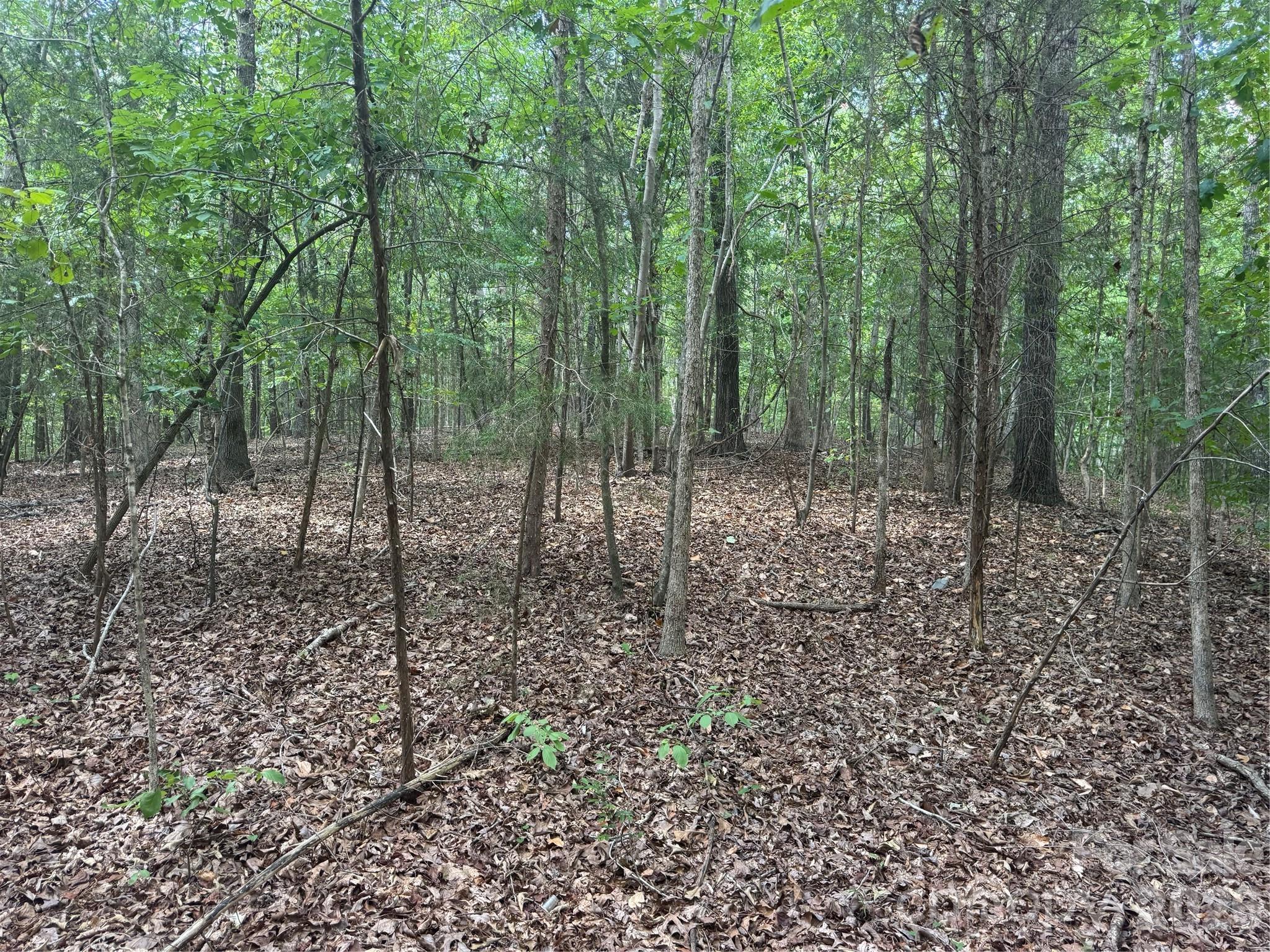 7.5 Acres Old Camden Monroe Highway Property Photo 4