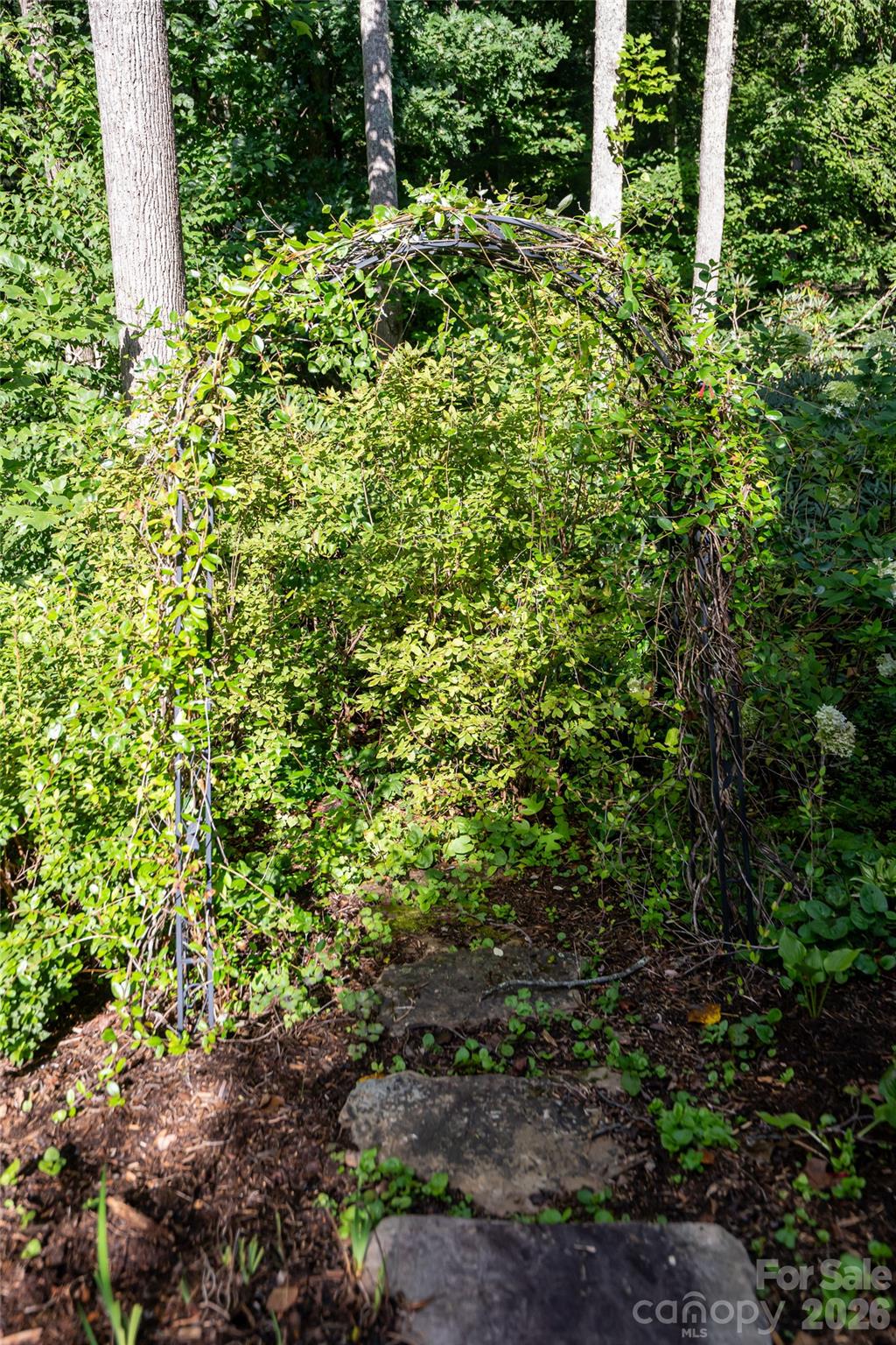 15 Stills Creek Loop Property Photo 40
