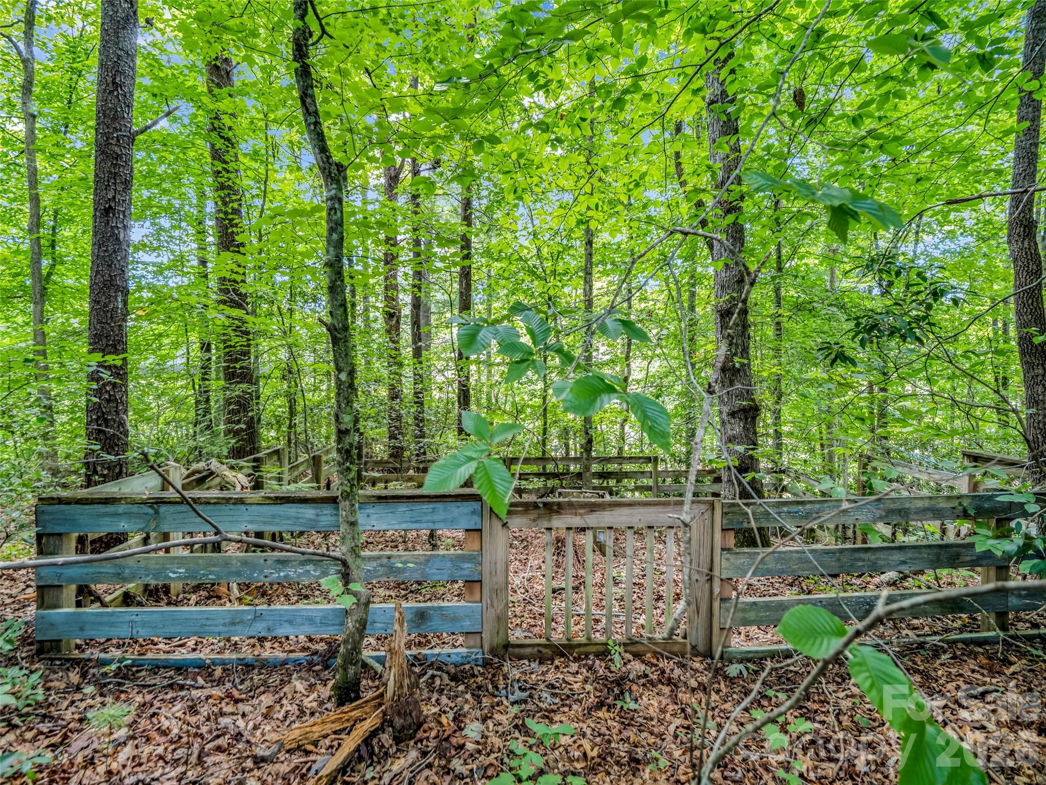277 Debbies Branch Drive Property Photo 8