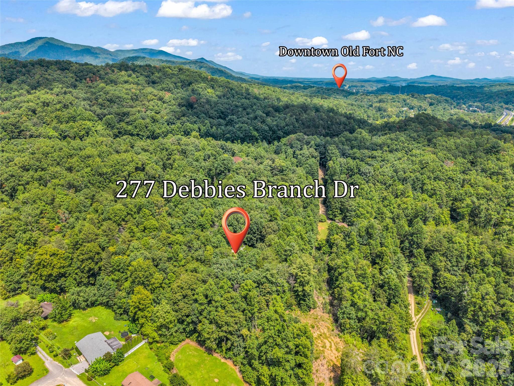 277 Debbies Branch Drive Property Photo 32