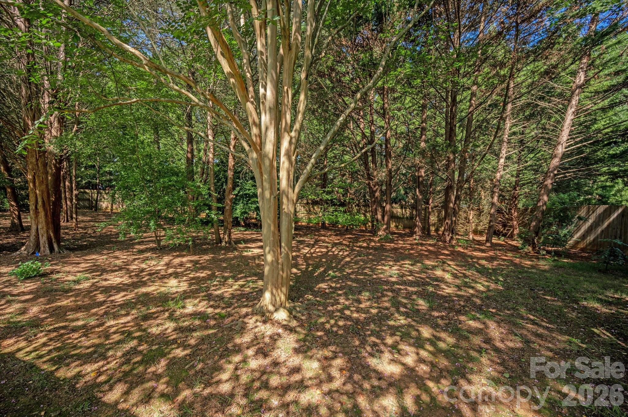 1913 Windmere Drive Property Photo 45