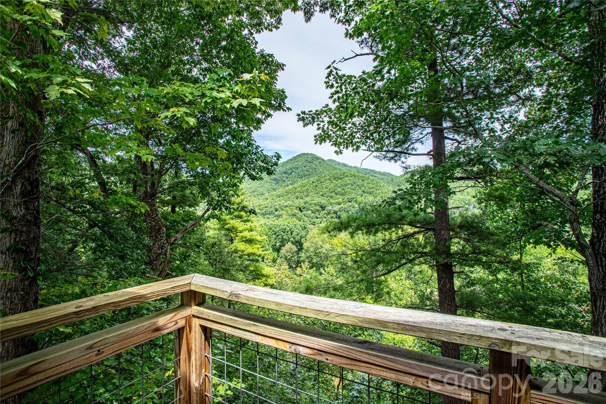 1295 Paint Rock Road Property Photo 27