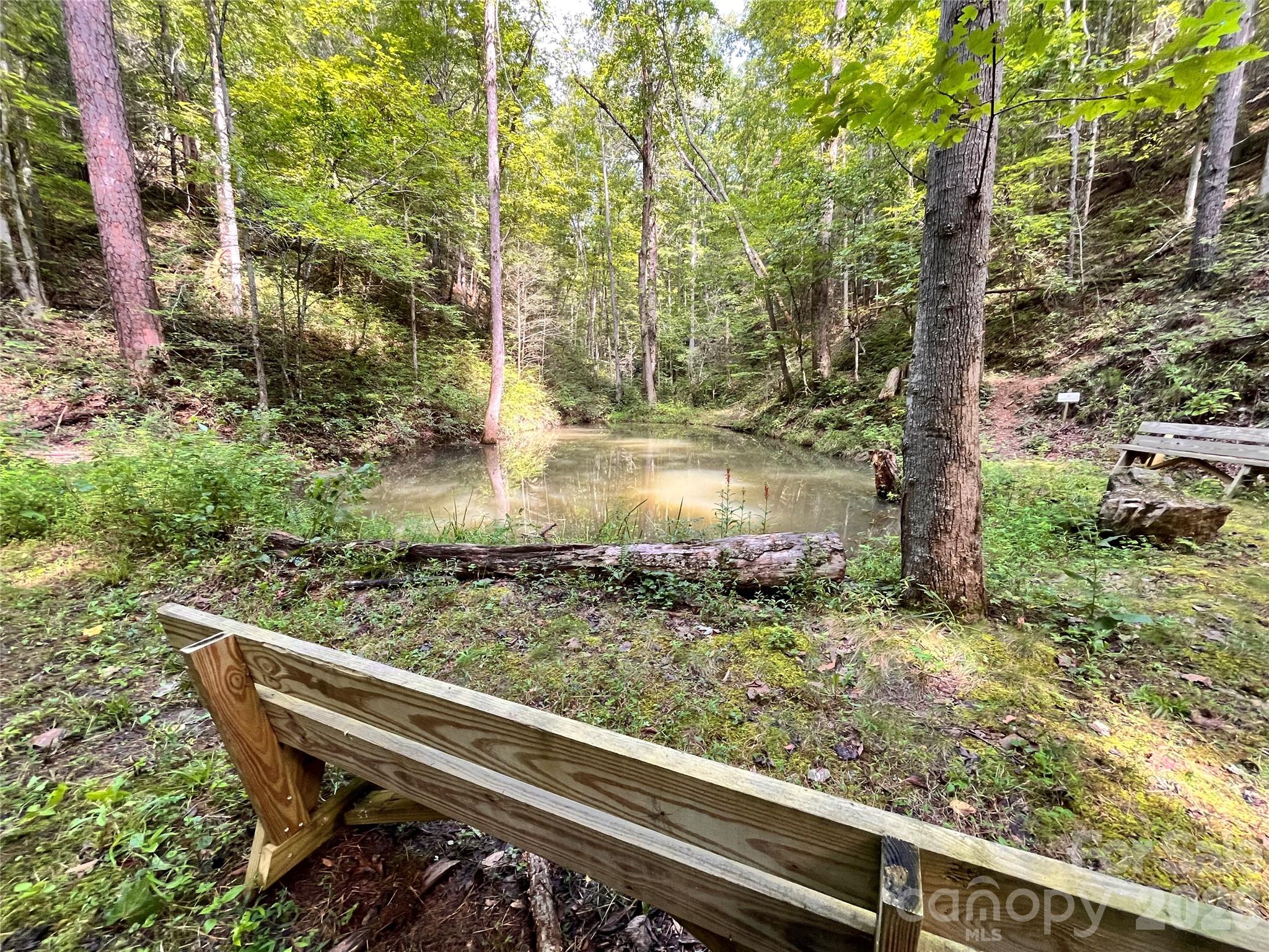 1295 Paint Rock Road Property Photo 42