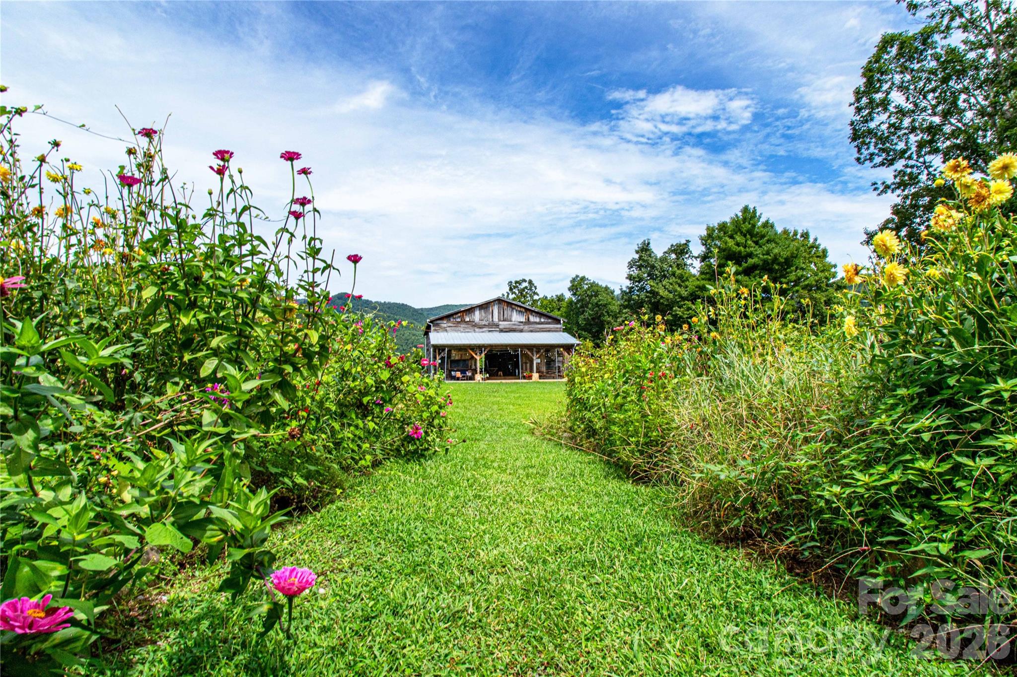 1295 Paint Rock Road Property Photo 10