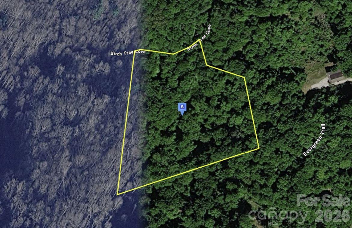 111 Birch Tree Cove Property Photo 1
