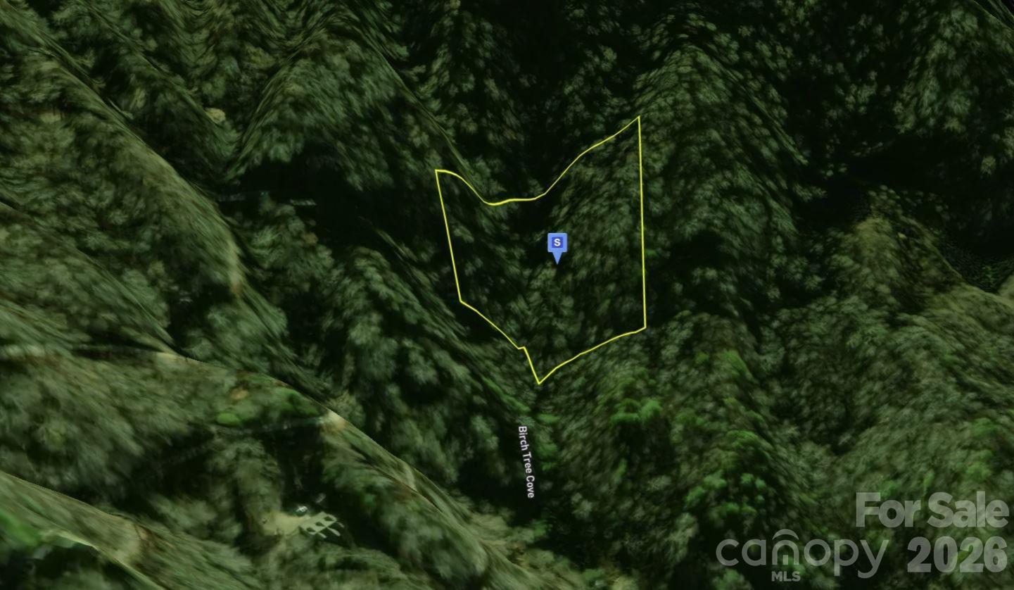 111 Birch Tree Cove Property Photo 2
