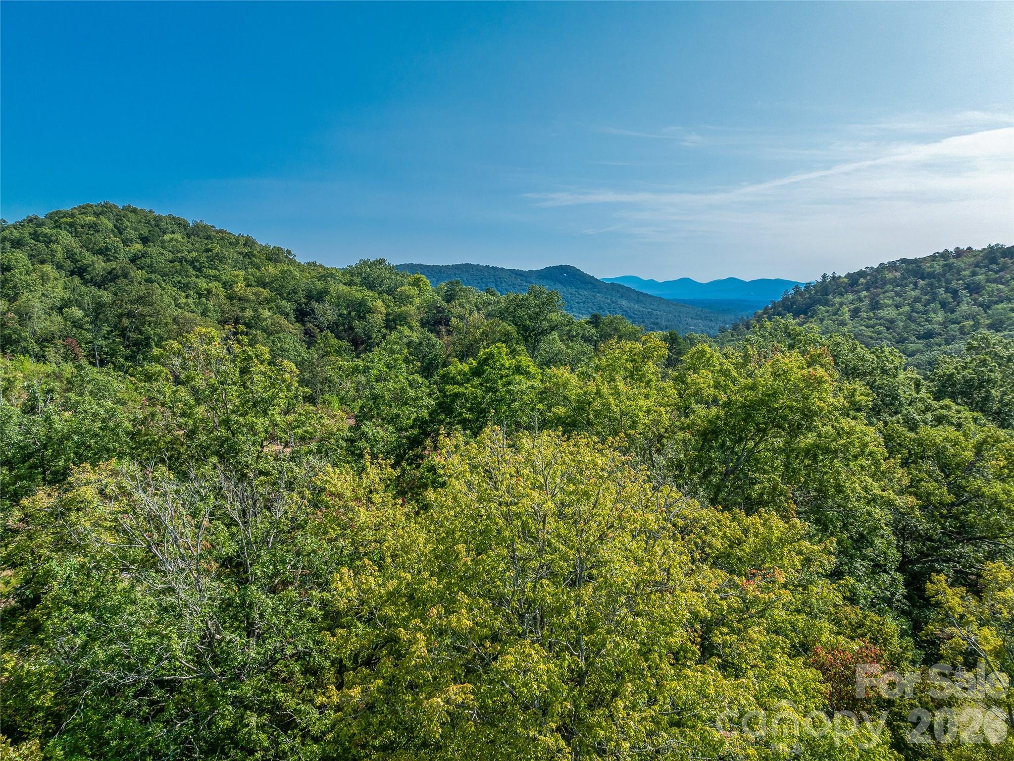 567 Davey Branch Road Property Photo 5