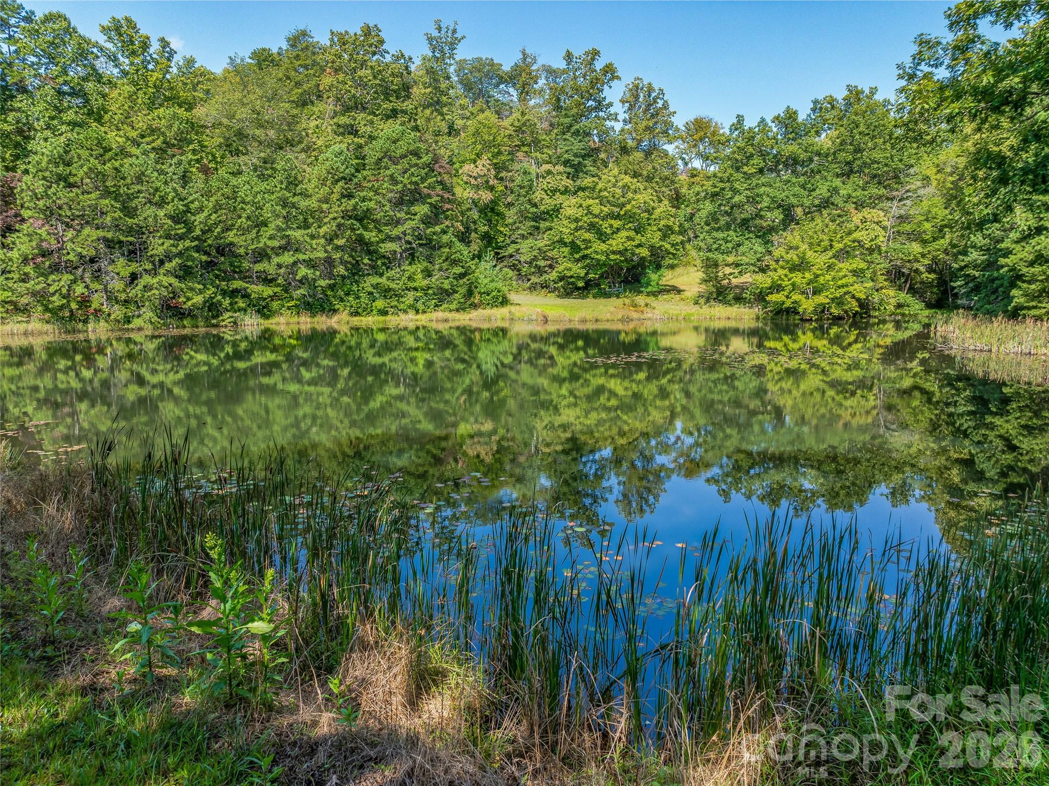 567 Davey Branch Road Property Photo 6