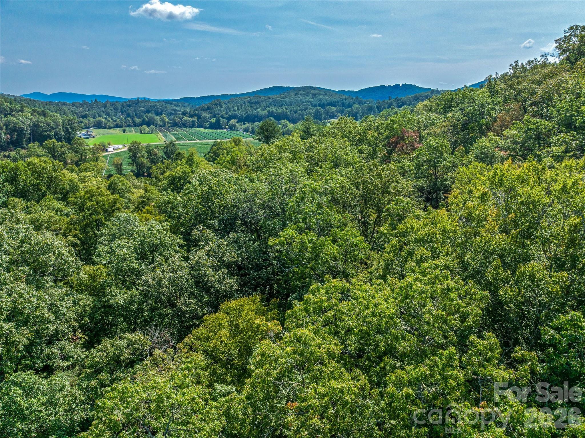567 Davey Branch Road Property Photo 7