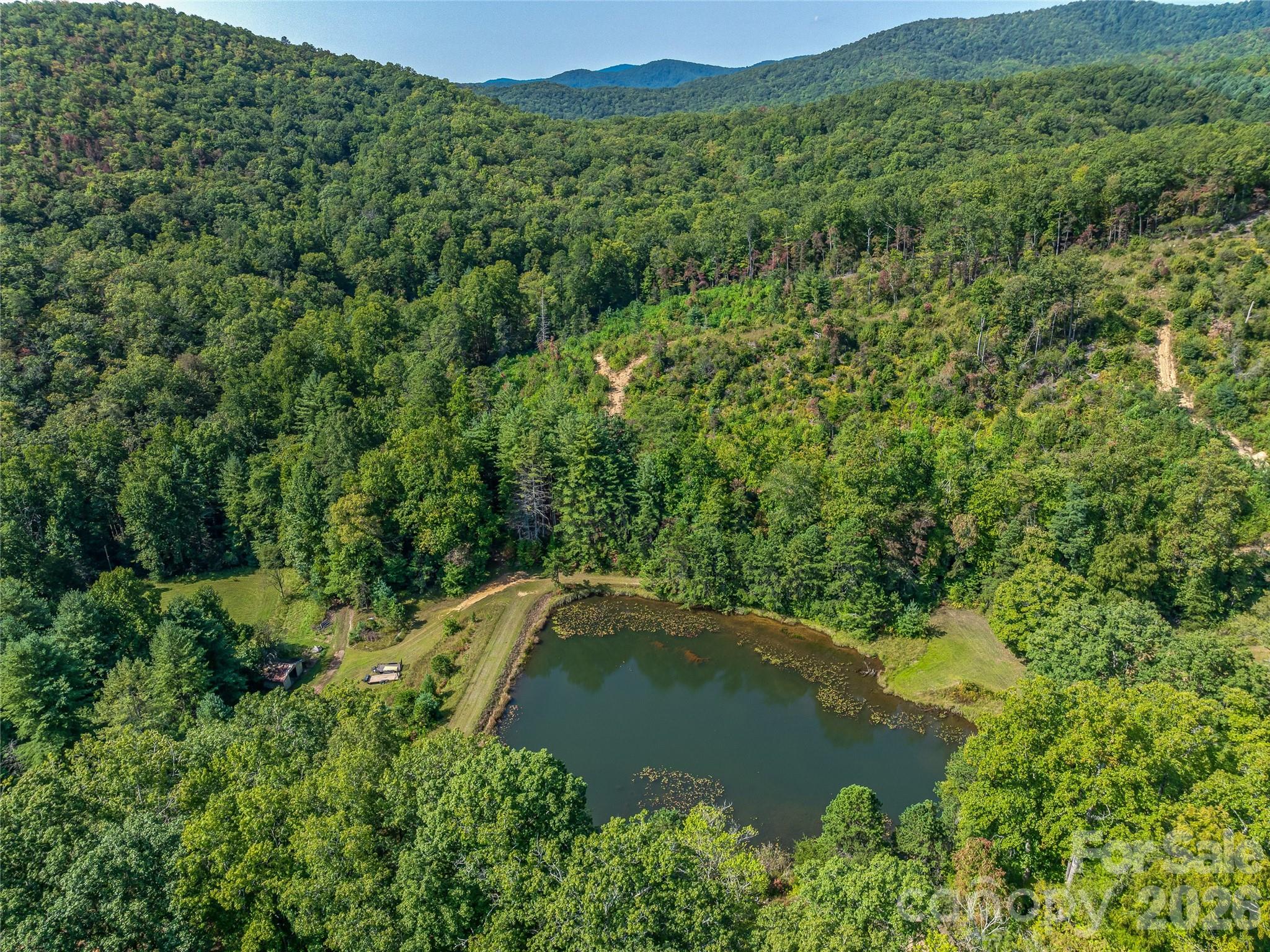 567 Davey Branch Road Property Photo 9