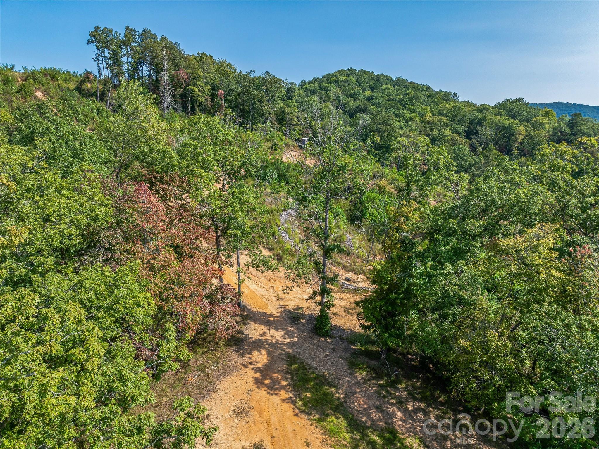 567 Davey Branch Road Property Photo 14