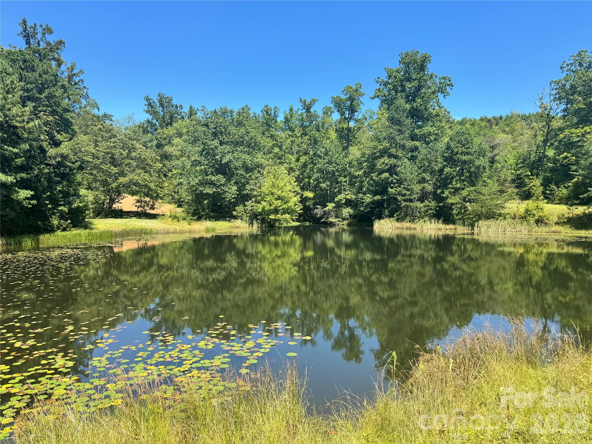 567 Davey Branch Road Property Photo 15