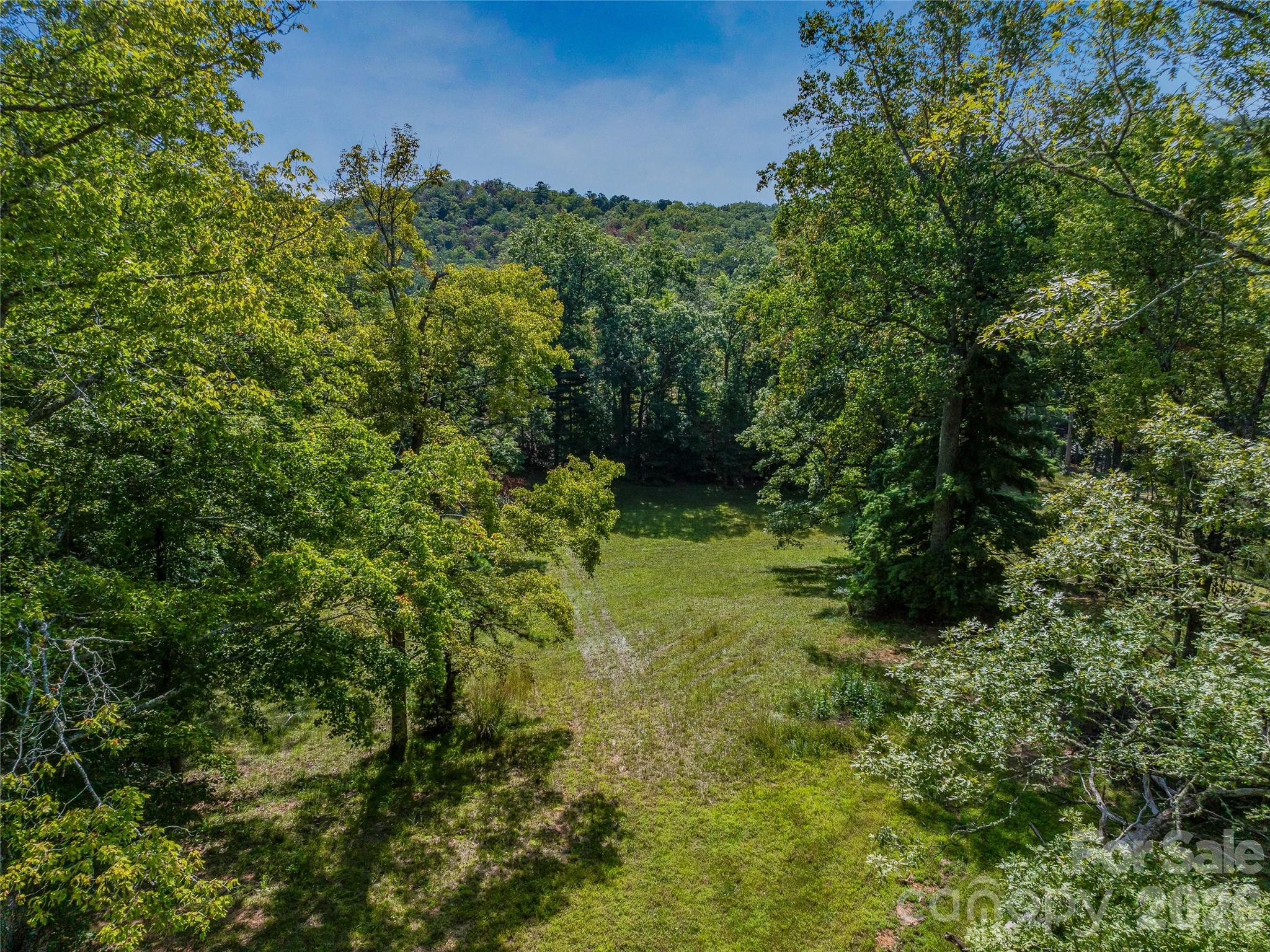 567 Davey Branch Road Property Photo 16