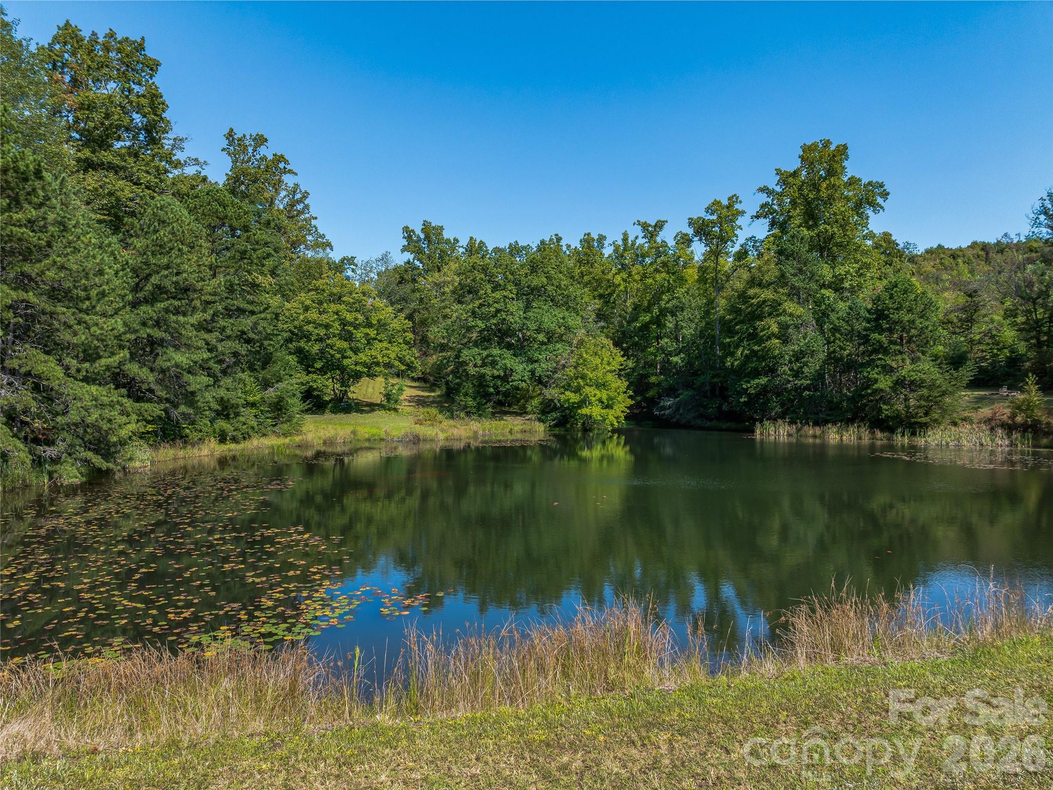 567 Davey Branch Road Property Photo 22