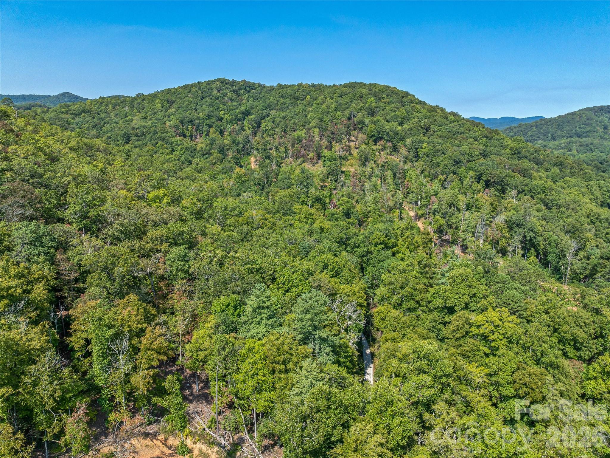 567 Davey Branch Road Property Photo 23