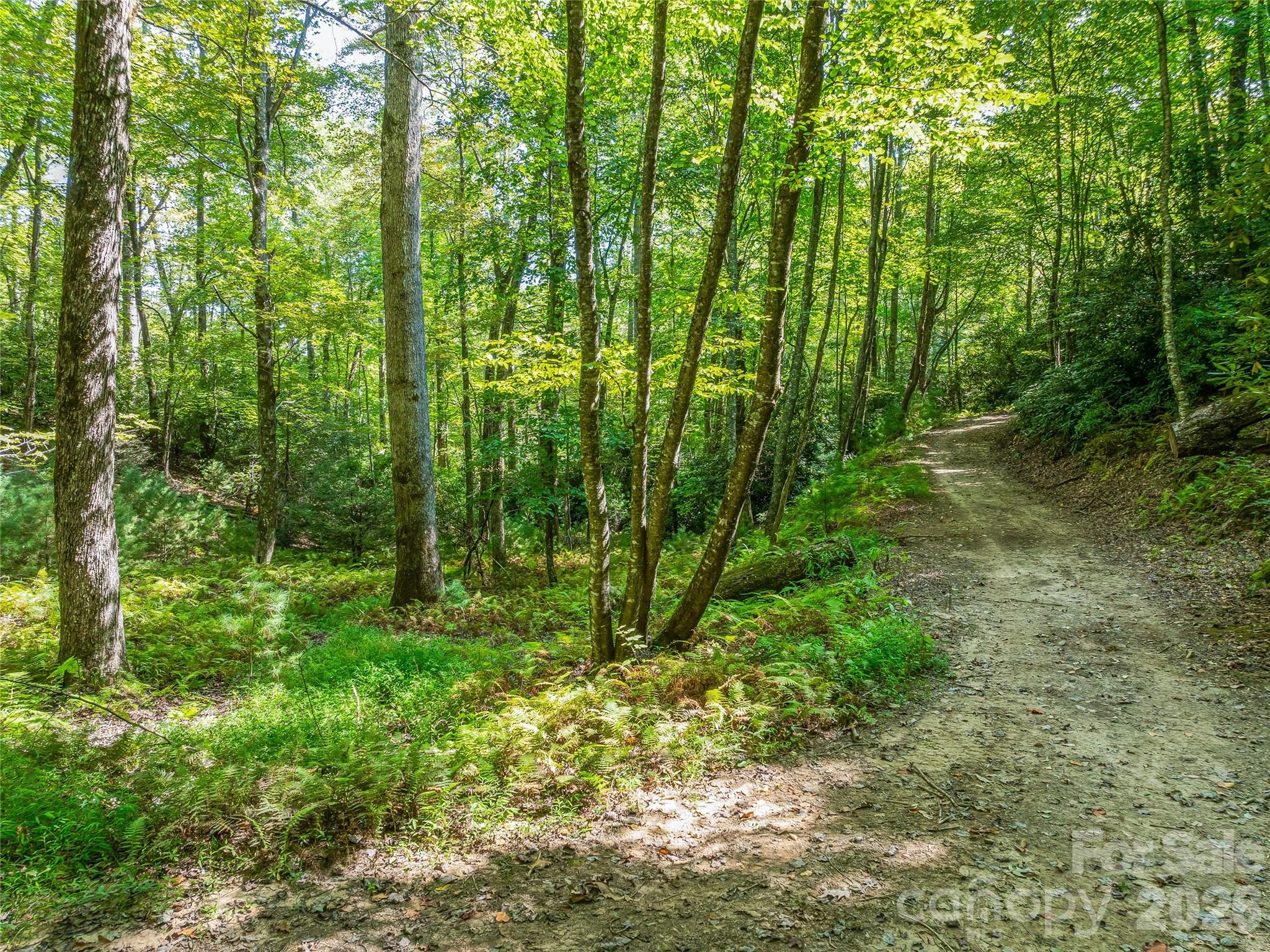567 Davey Branch Road Property Photo 29