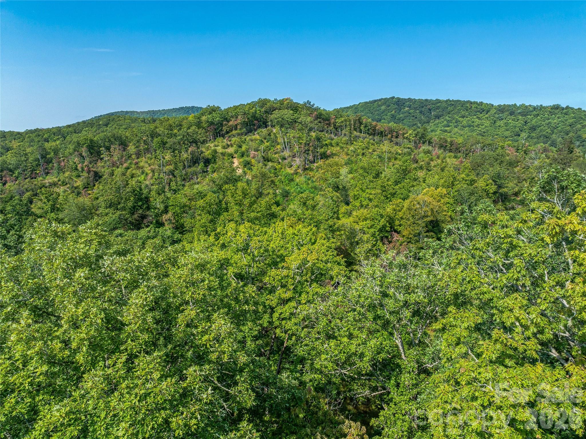 567 Davey Branch Road Property Photo 34