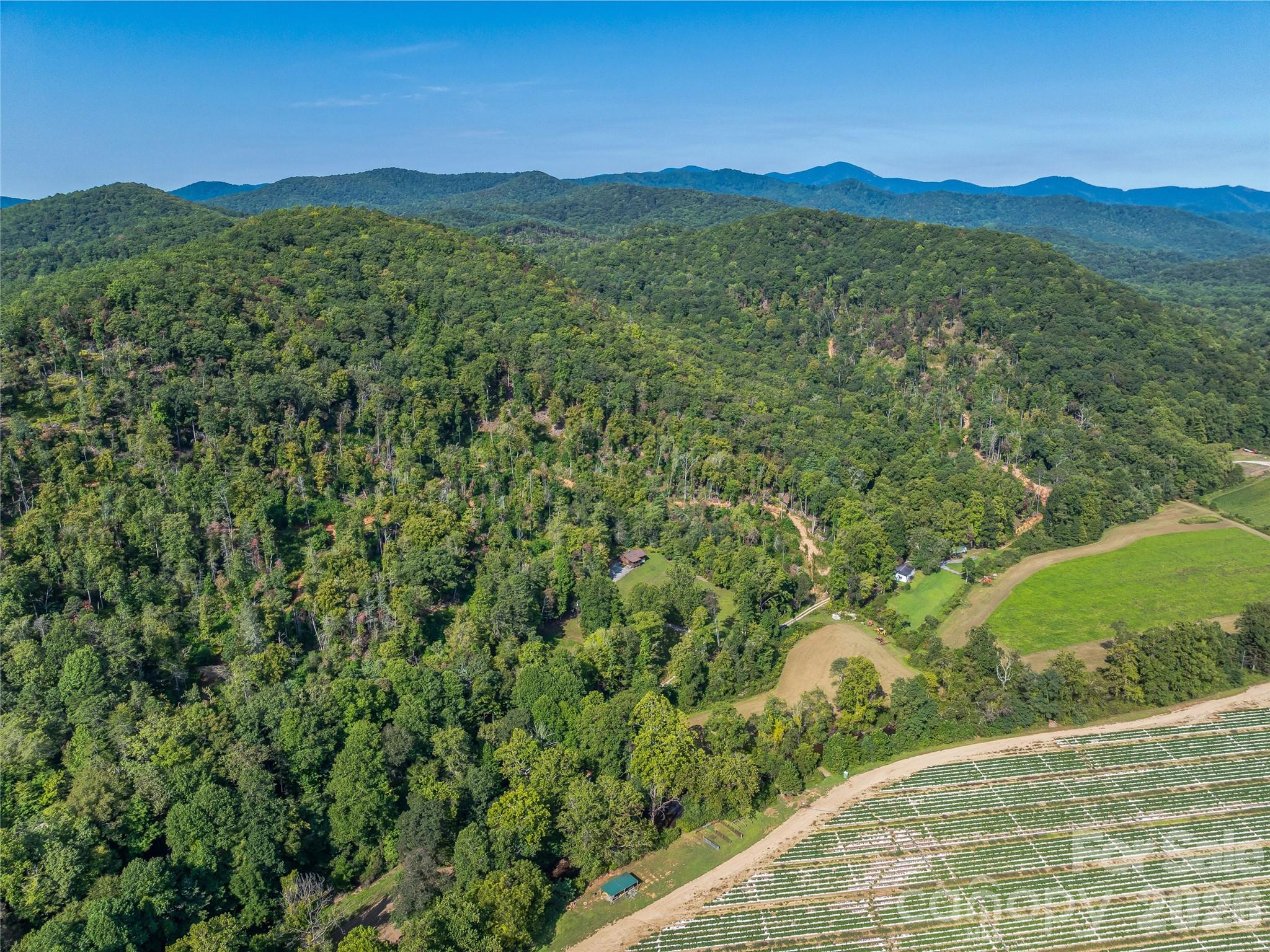 567 Davey Branch Road Property Photo 35