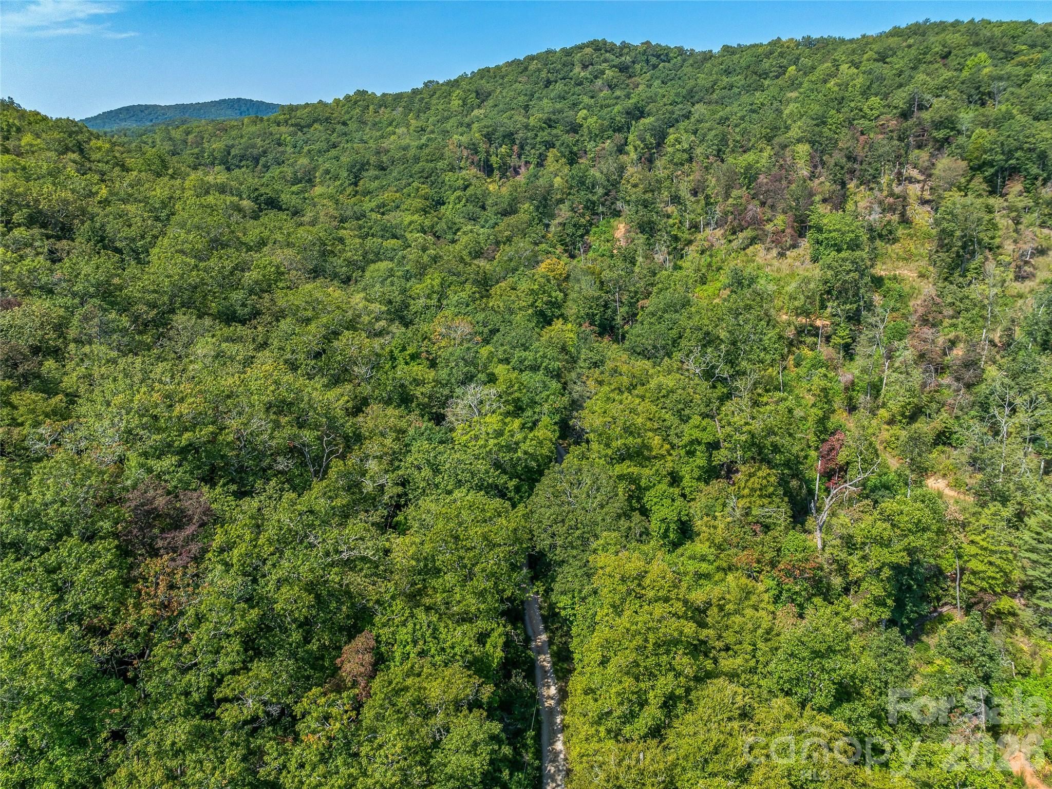 567 Davey Branch Road Property Photo 37