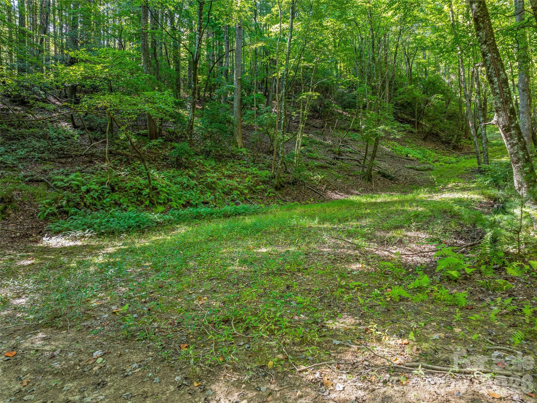 567 Davey Branch Road Property Photo 37