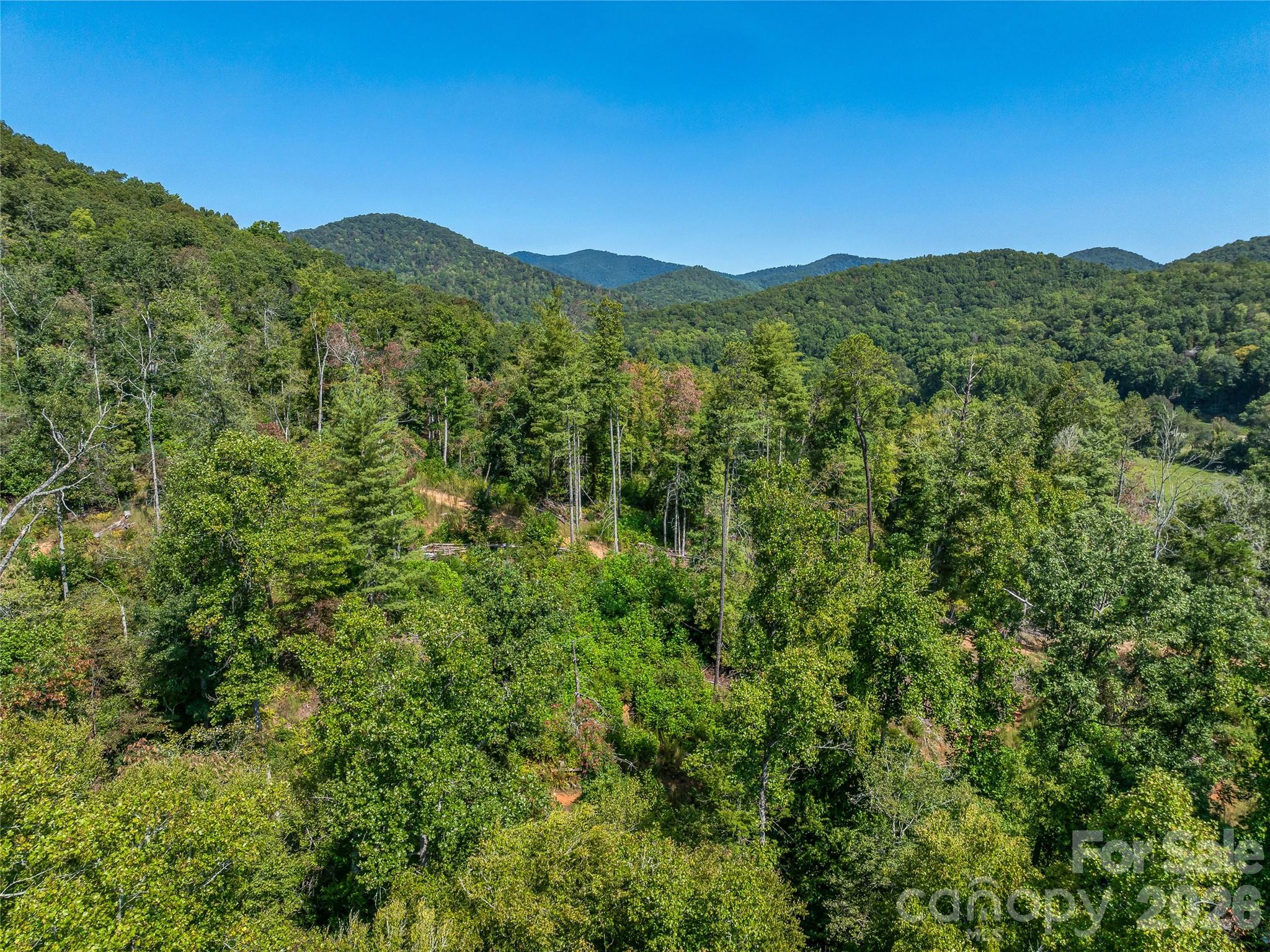 567 Davey Branch Road Property Photo 38