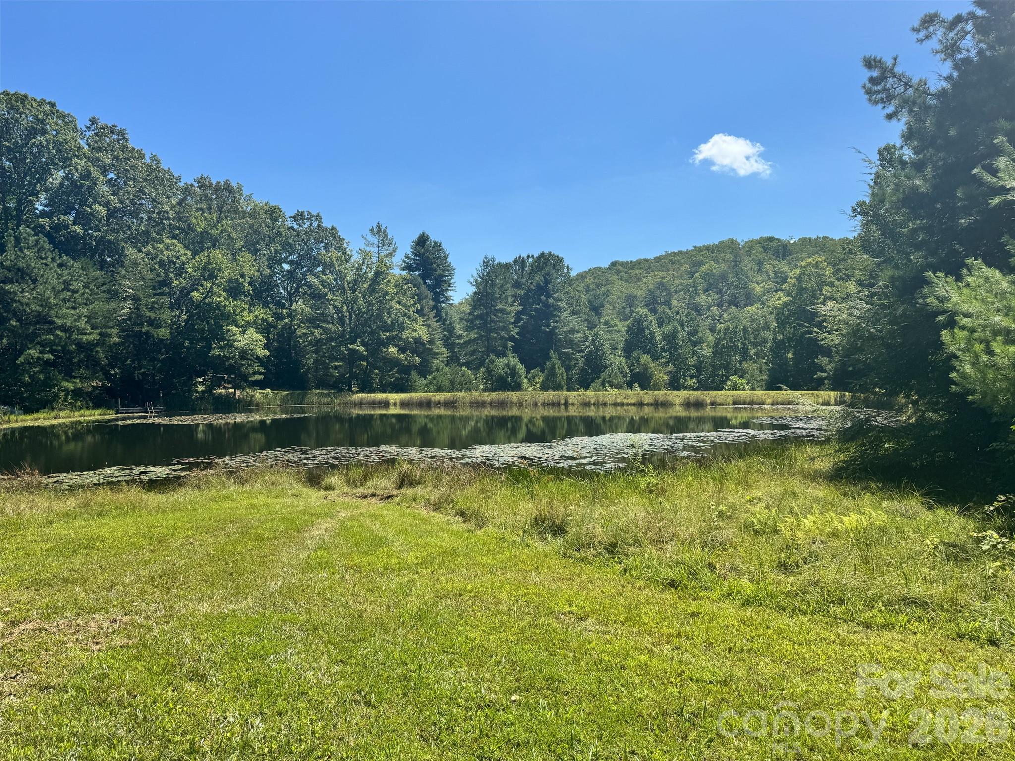 567 Davey Branch Road Property Photo 42
