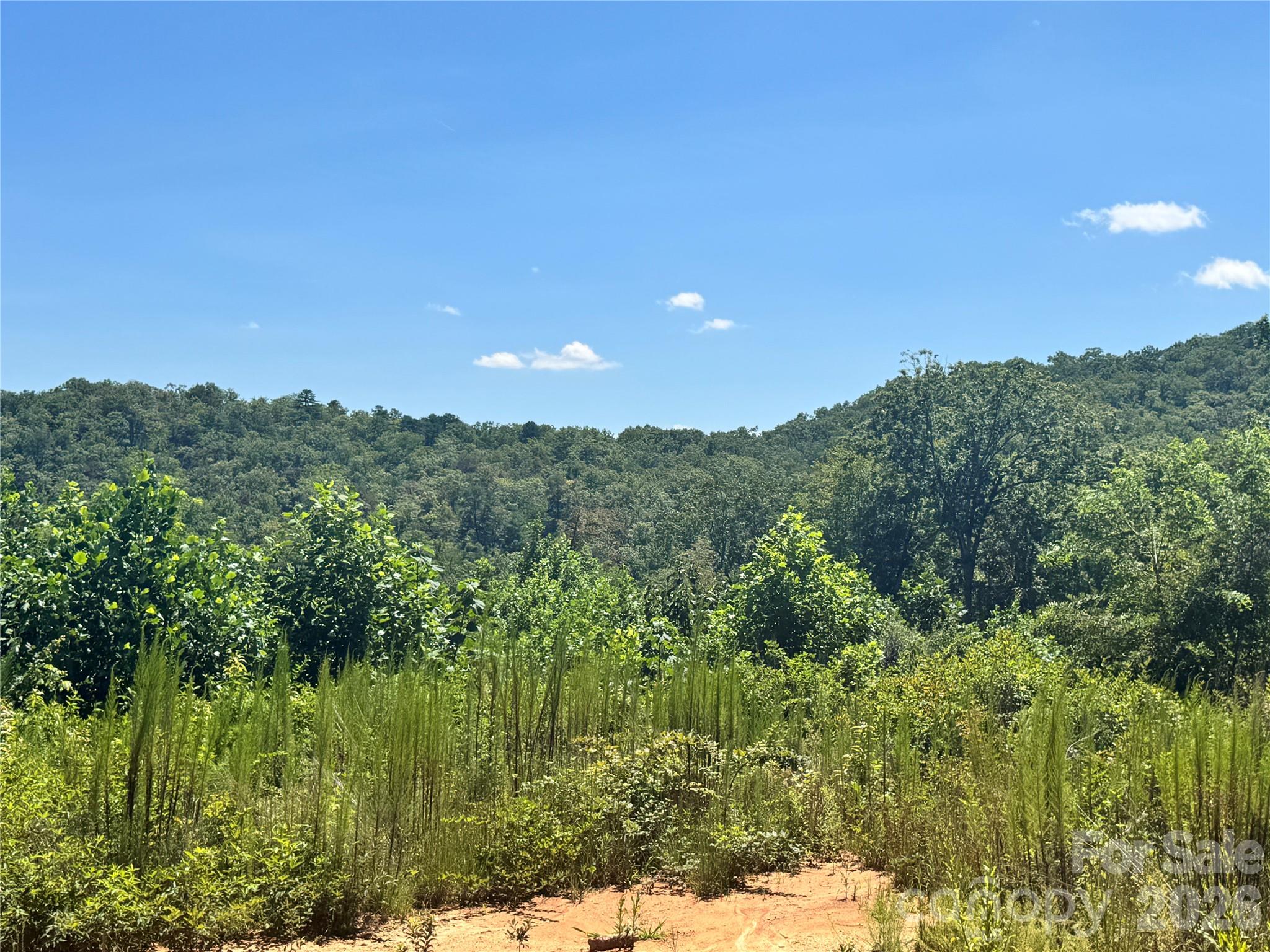 567 Davey Branch Road Property Photo 44