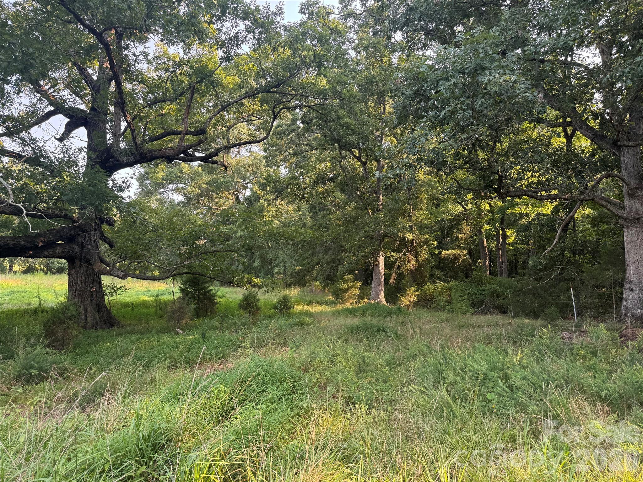 12917 Austin Road Property Photo 1
