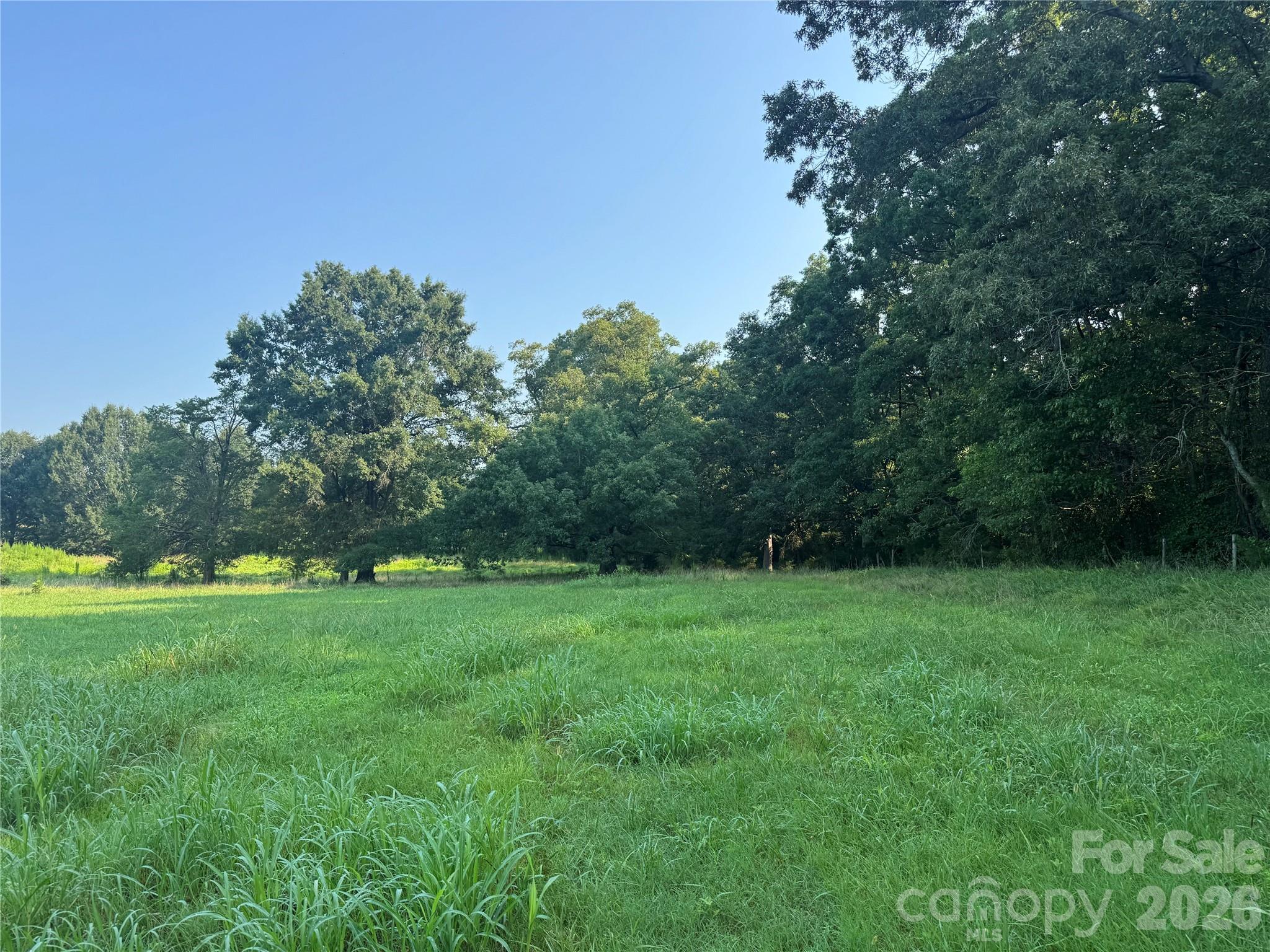 12917 Austin Road Property Photo 6