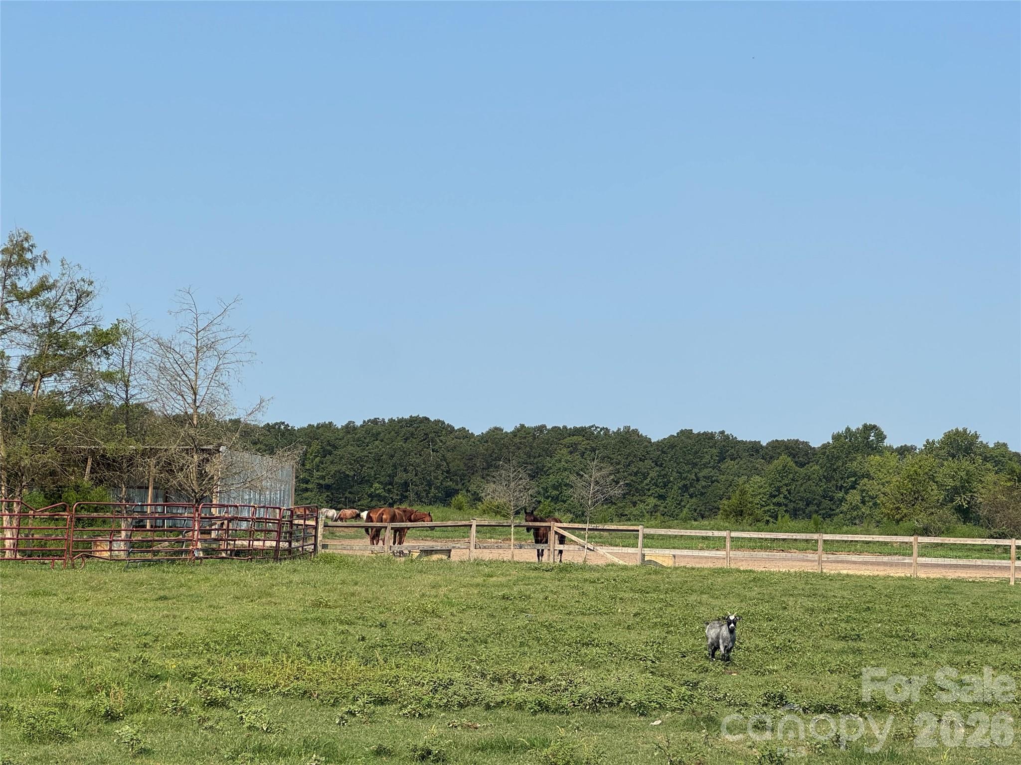 12917 Austin Road Property Photo 13