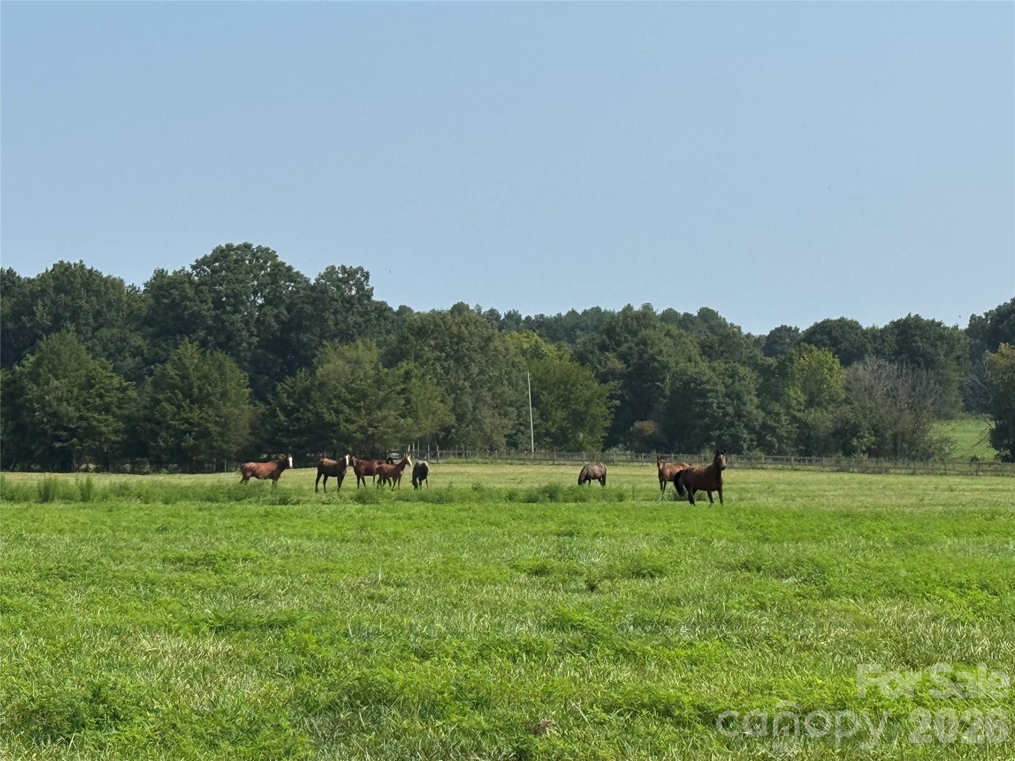 12917 Austin Road Property Photo 25
