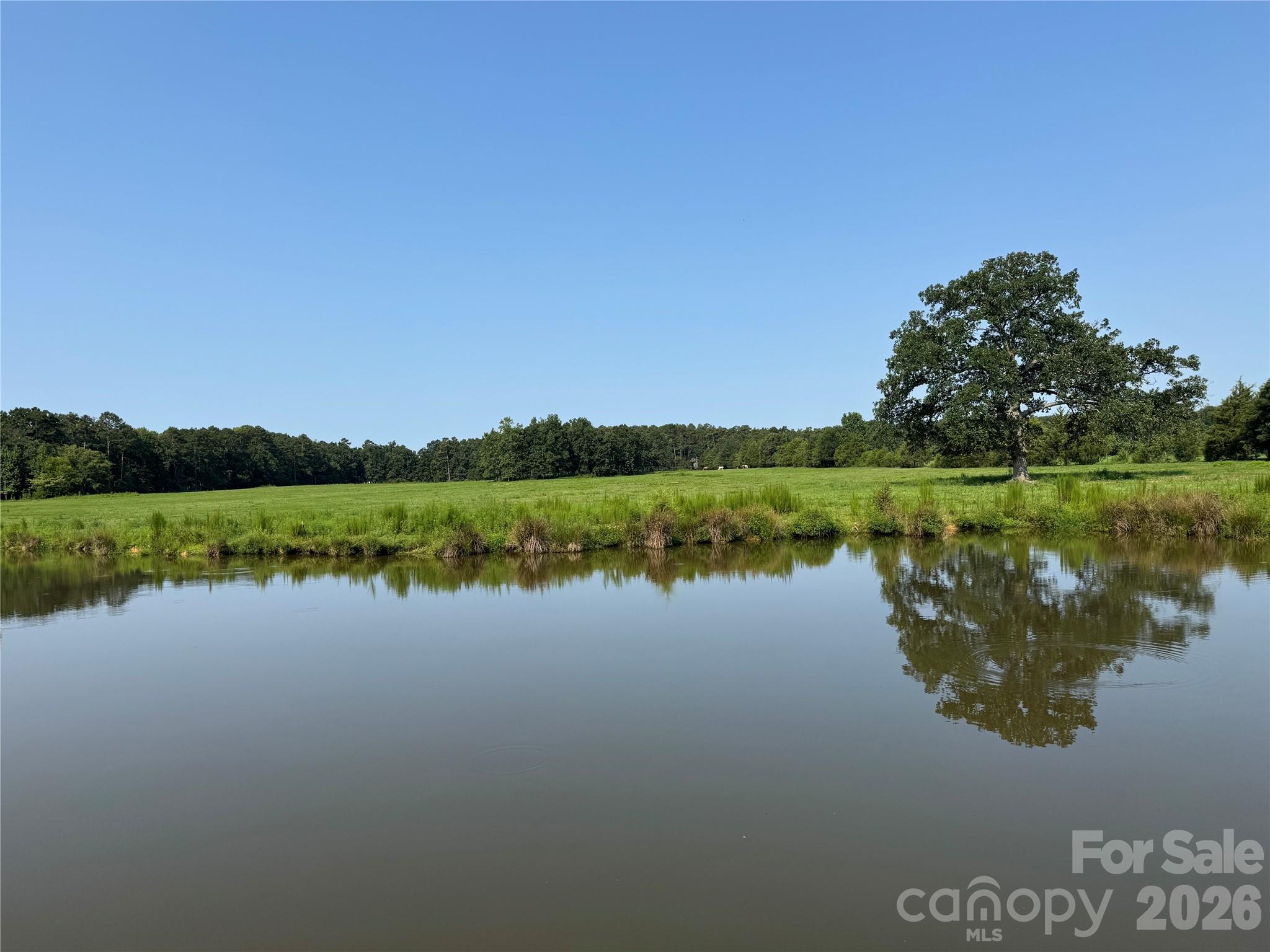 12917 Austin Road Property Photo 26