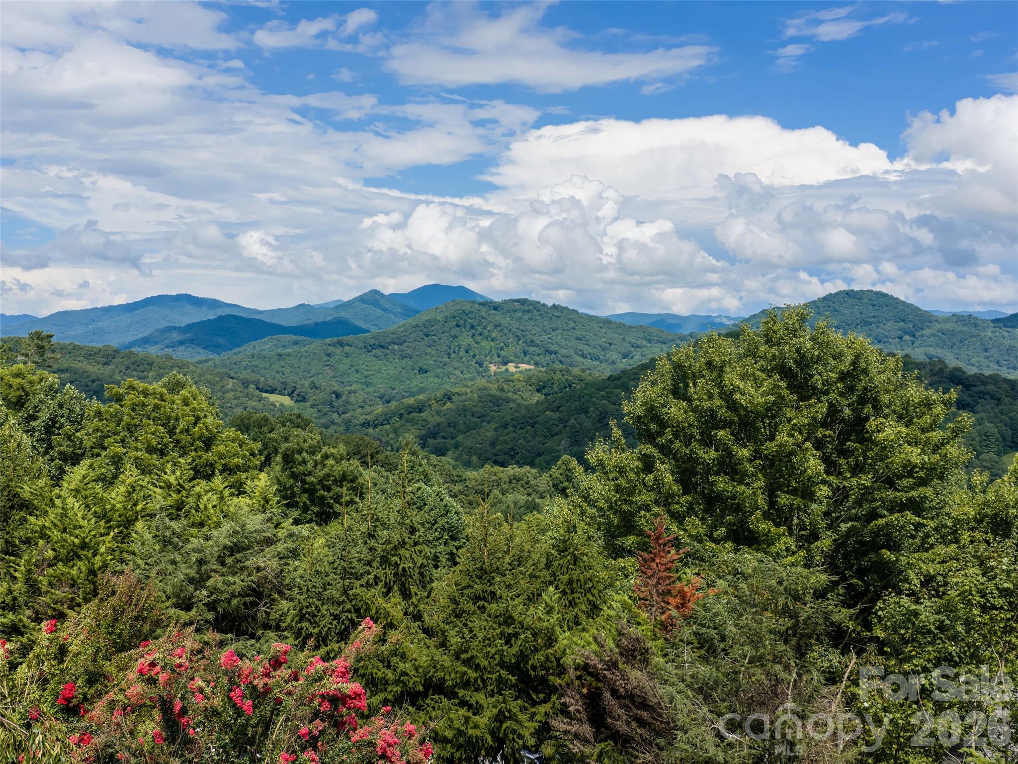 95 Splendor Ridge Property Photo 44