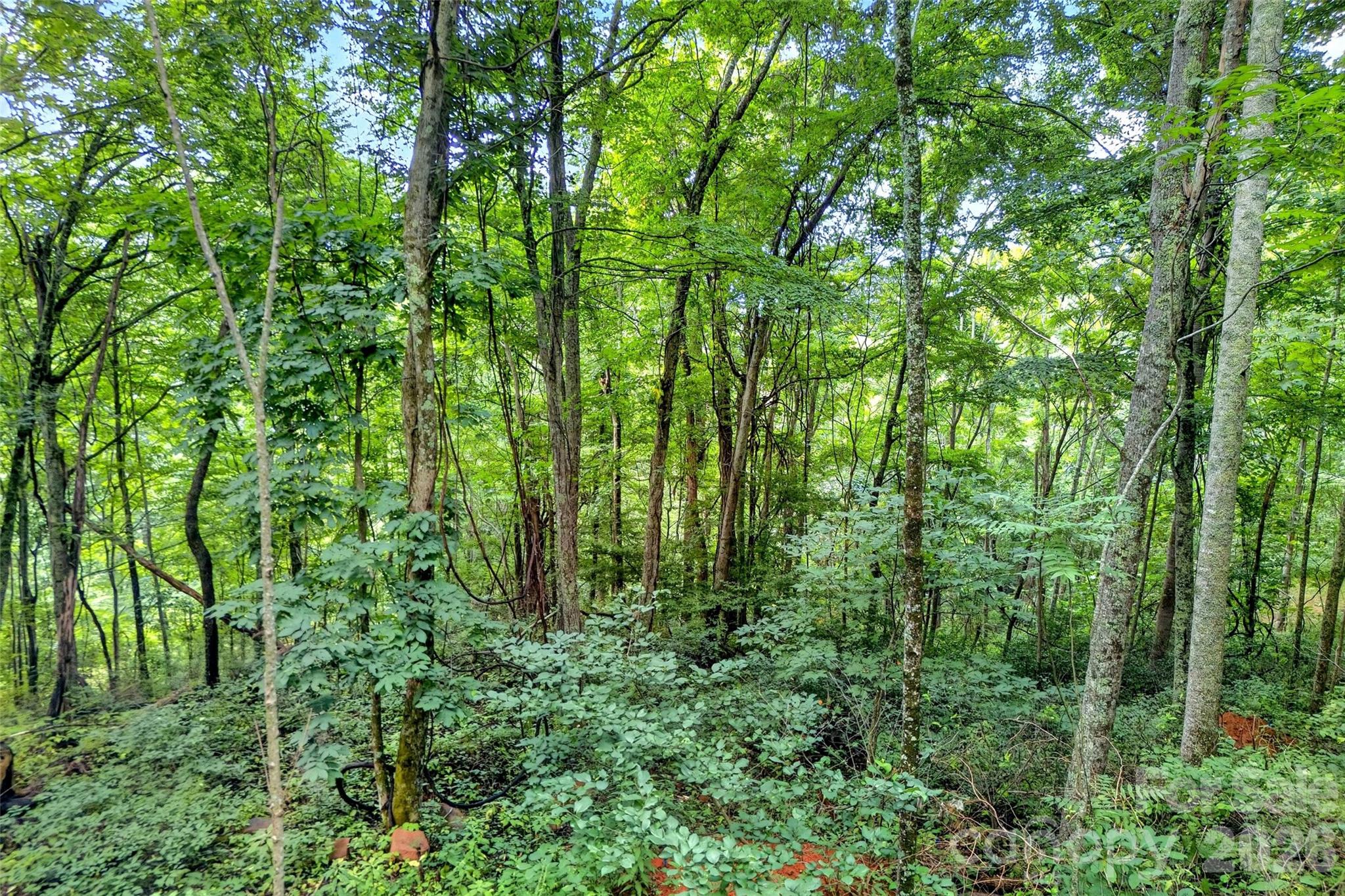 None N 226 Highway #26/27 Property Photo 4