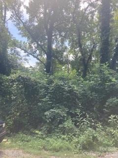 99999 Old Haw Creek Road Lots 1 & 2 Property Photo 1