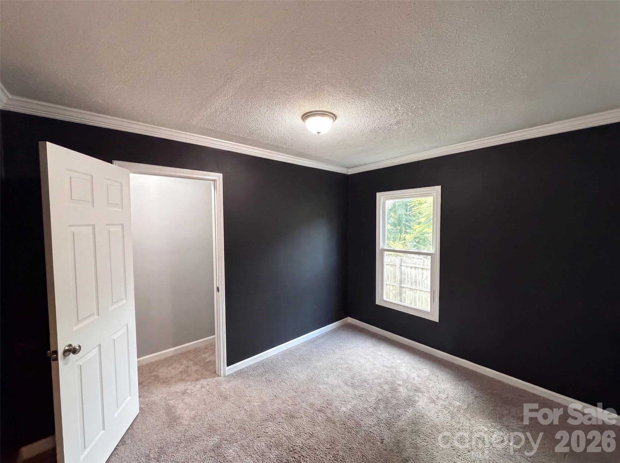 831 Fairview Street Property Photo 7