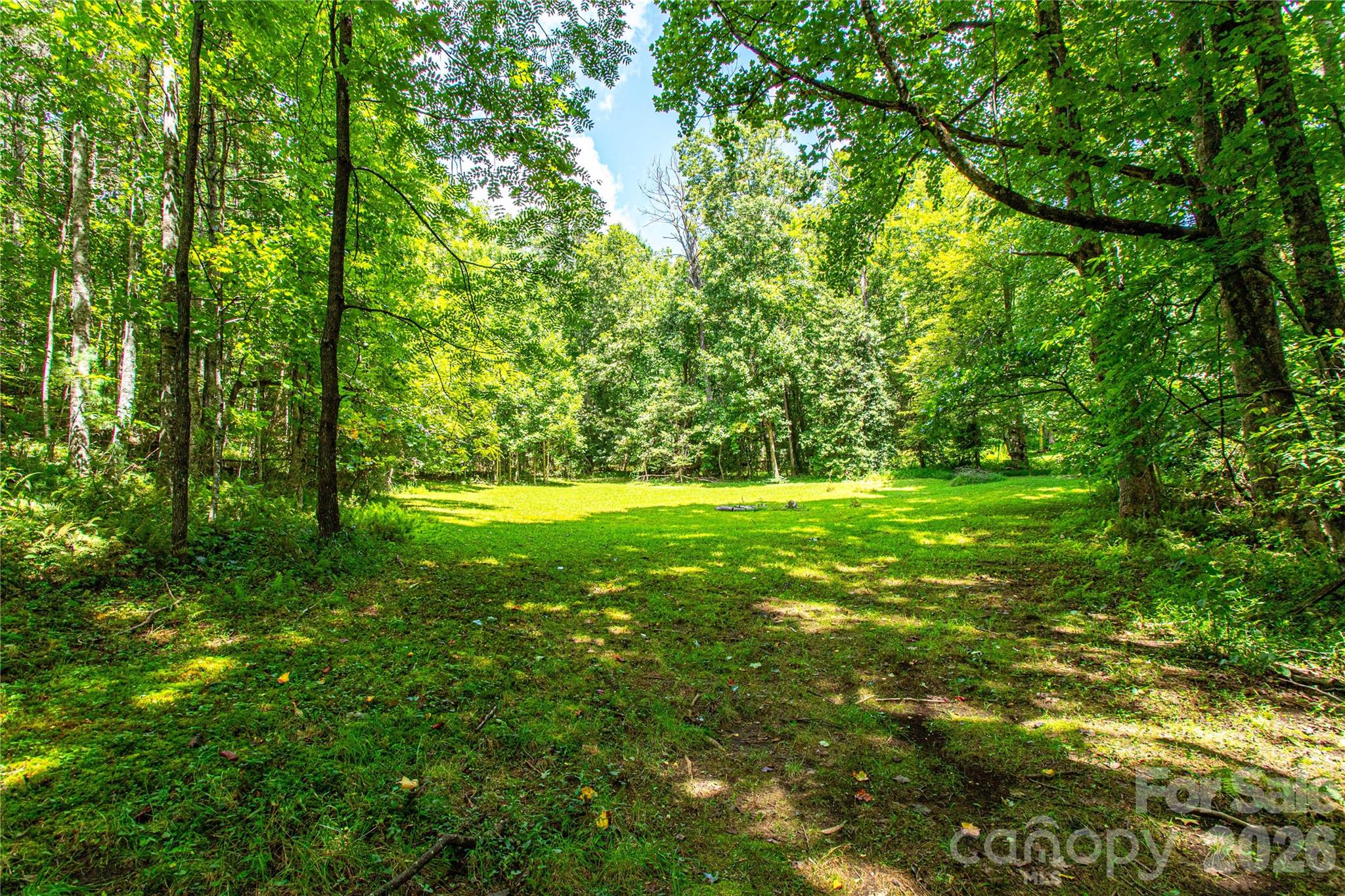 570 Flat Creek Valley Road Property Photo 44