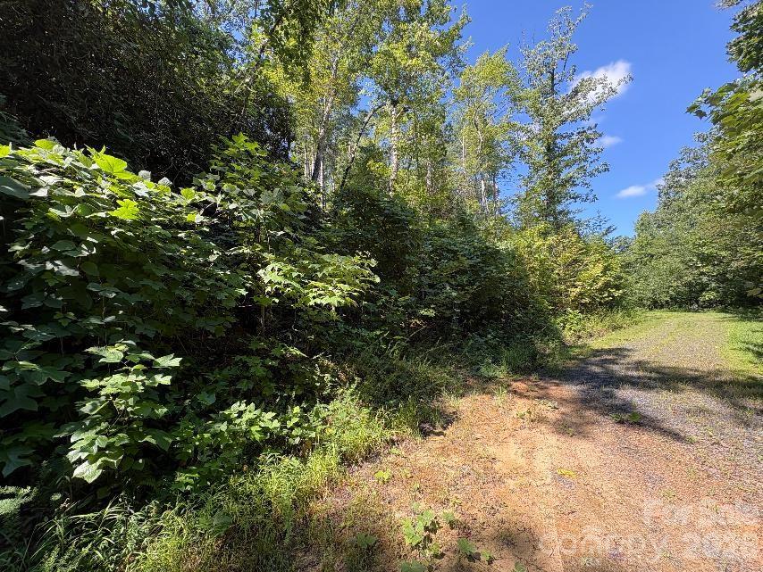 Lot 96 Little Fox Run Property Photo 7