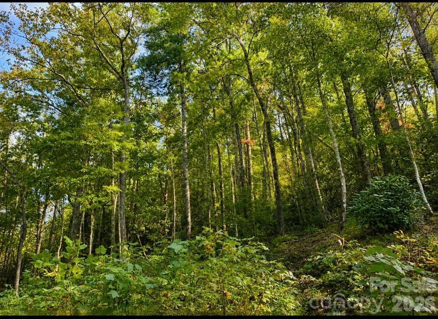 Lot 96 Little Fox Run Property Photo 8