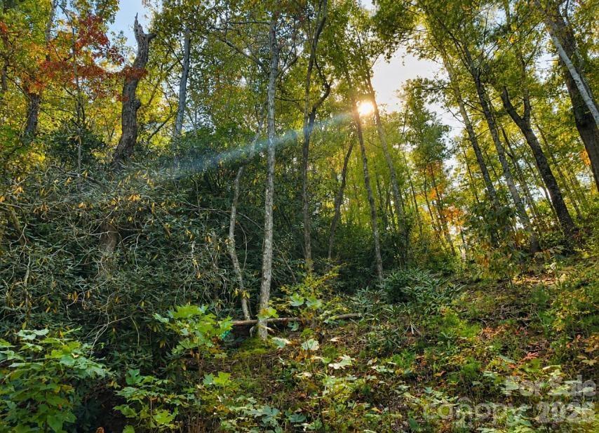 Lot 96 Little Fox Run Property Photo 9