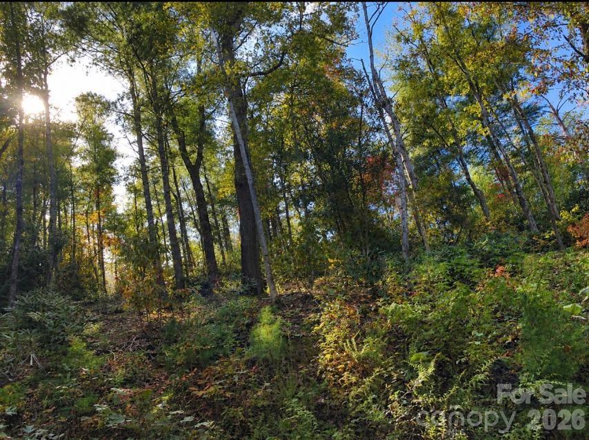 Lot 96 Little Fox Run Property Photo 10