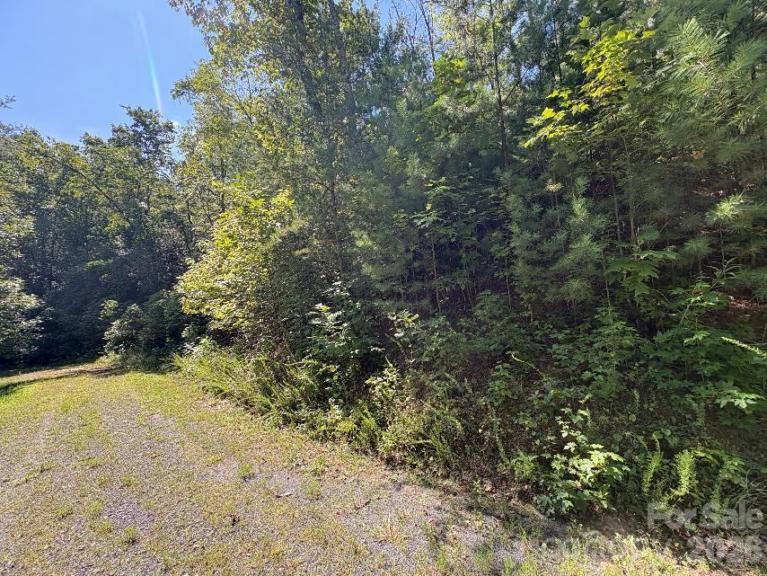 Lot 96 Little Fox Run Property Photo 11