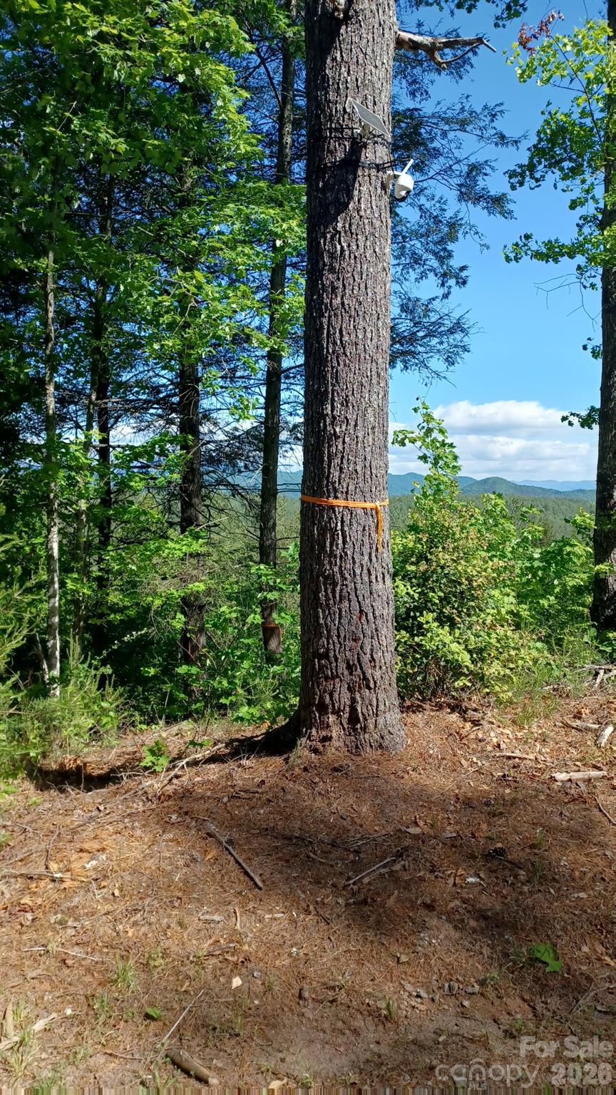 Lot 395 River Ridge Way Property Photo 3