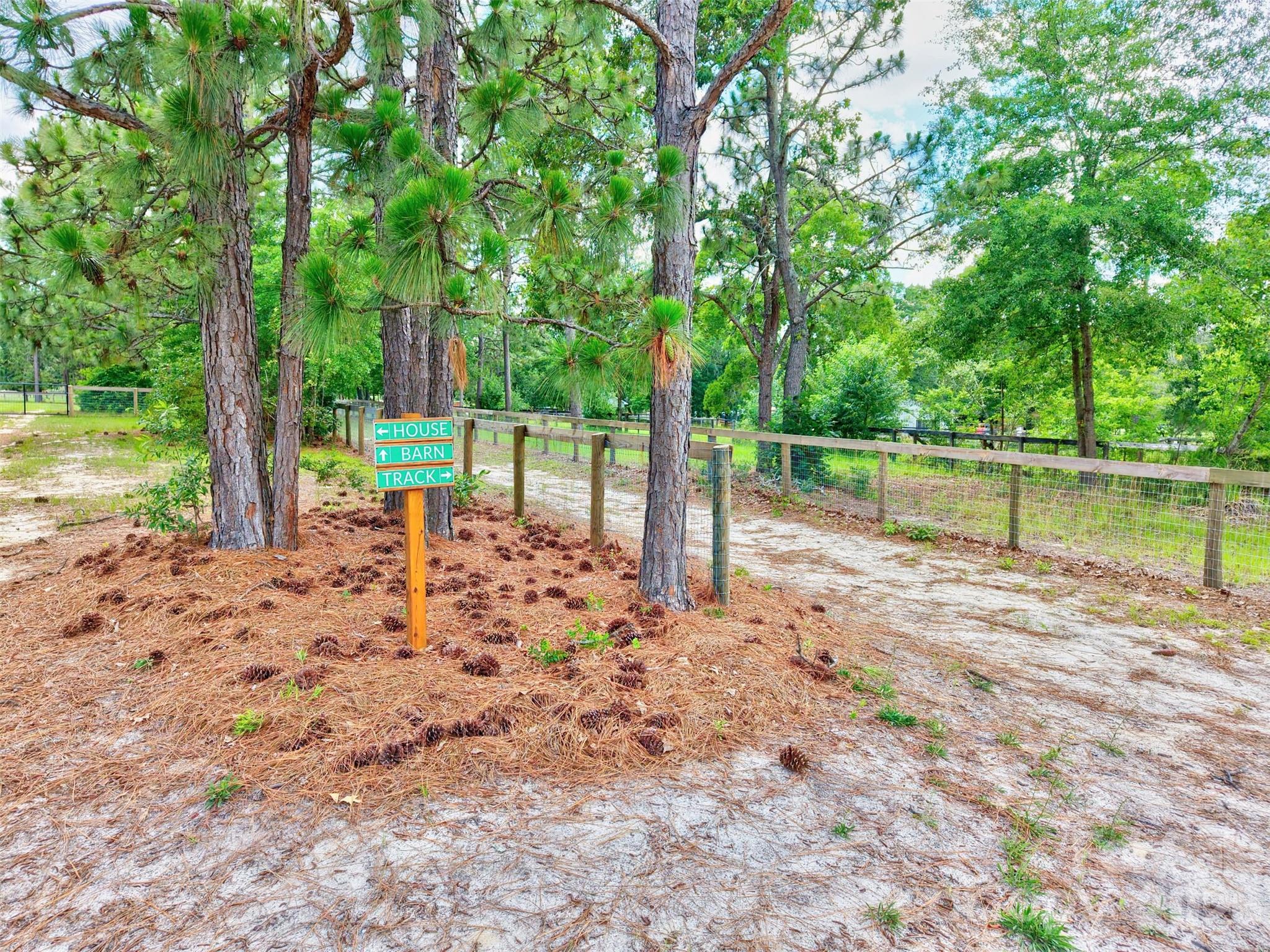 1377 Pine Road Property Photo 9