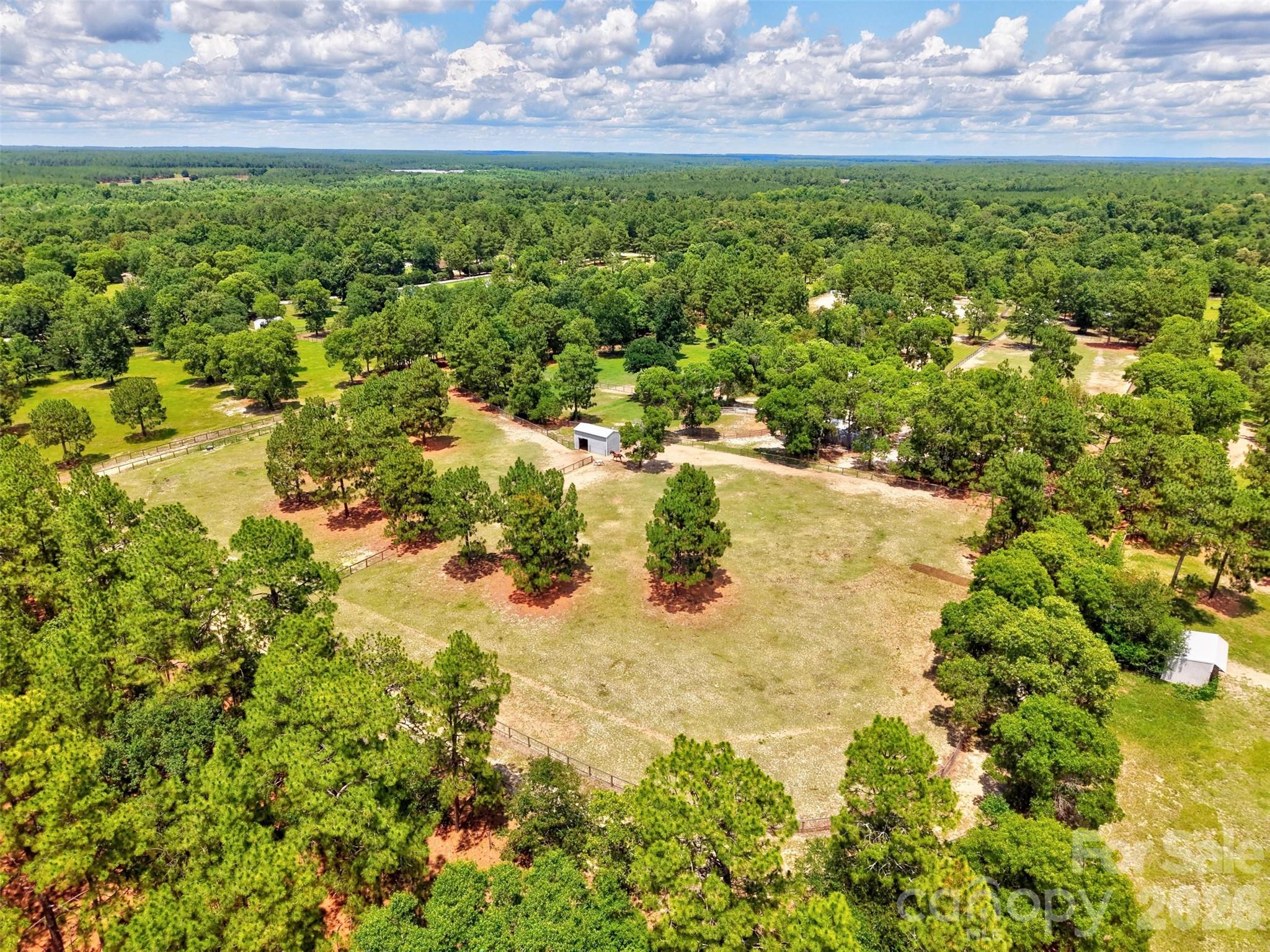 1377 Pine Road Property Photo 11