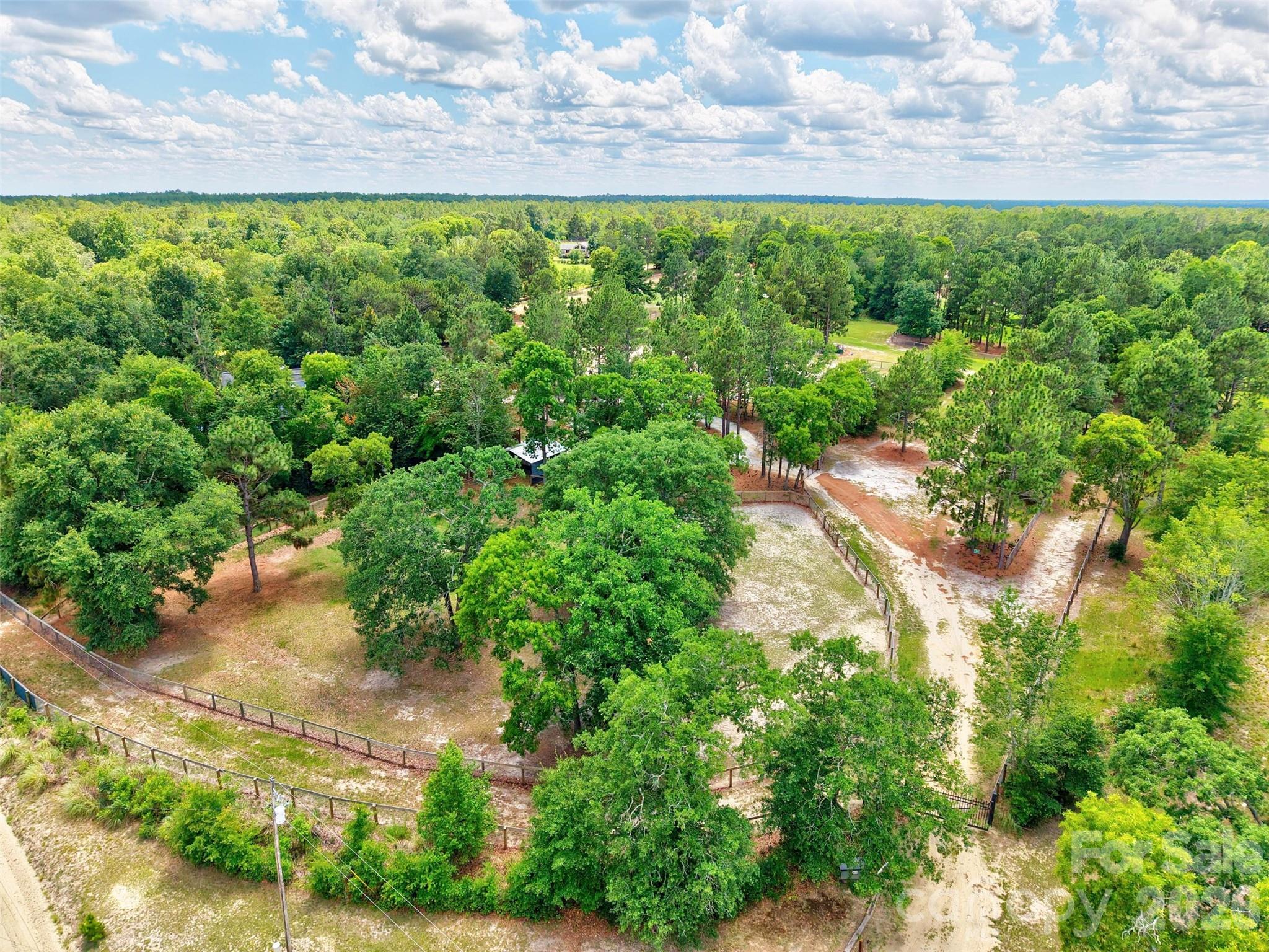 1377 Pine Road Property Photo 12