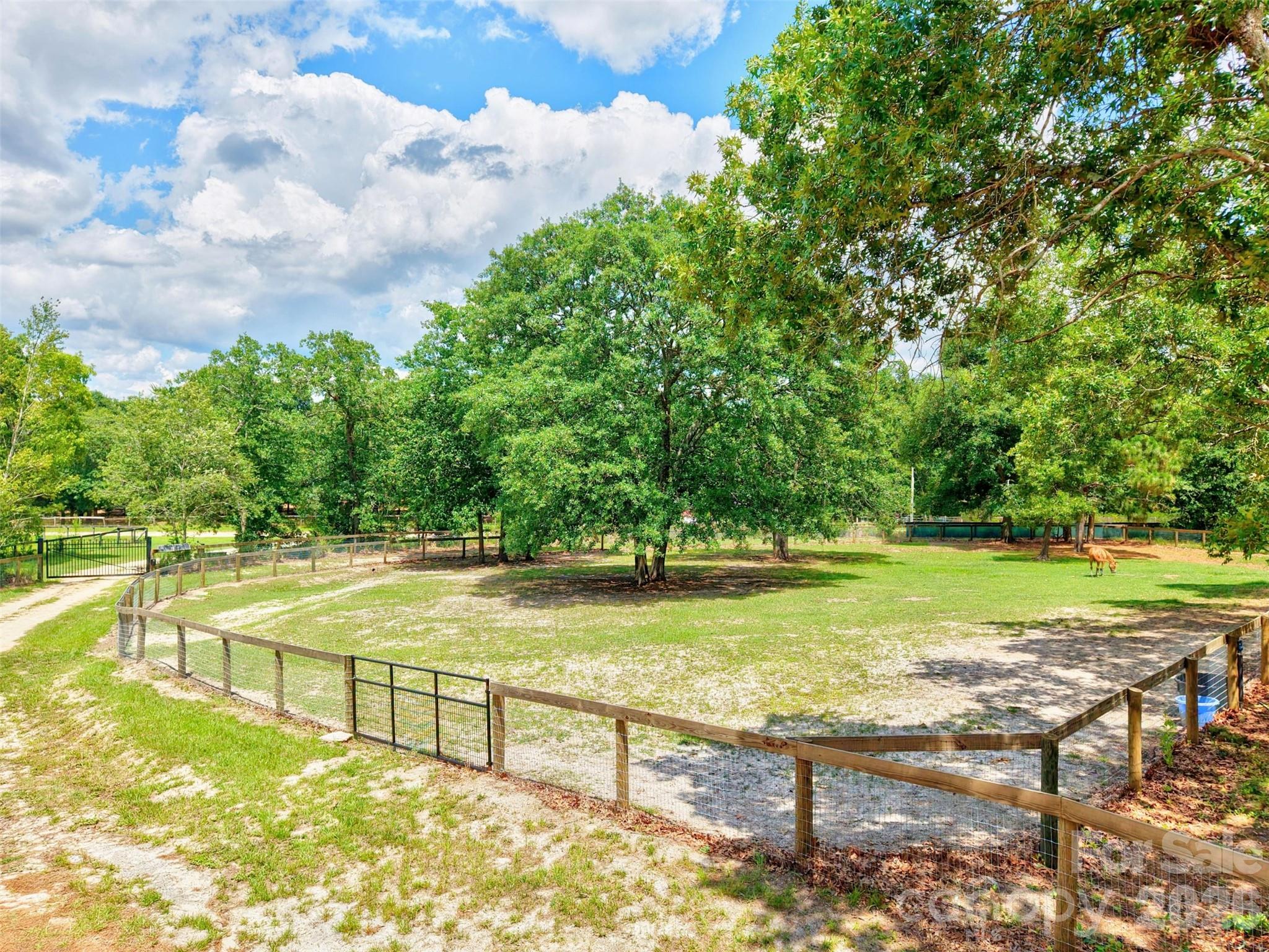 1377 Pine Road Property Photo 20
